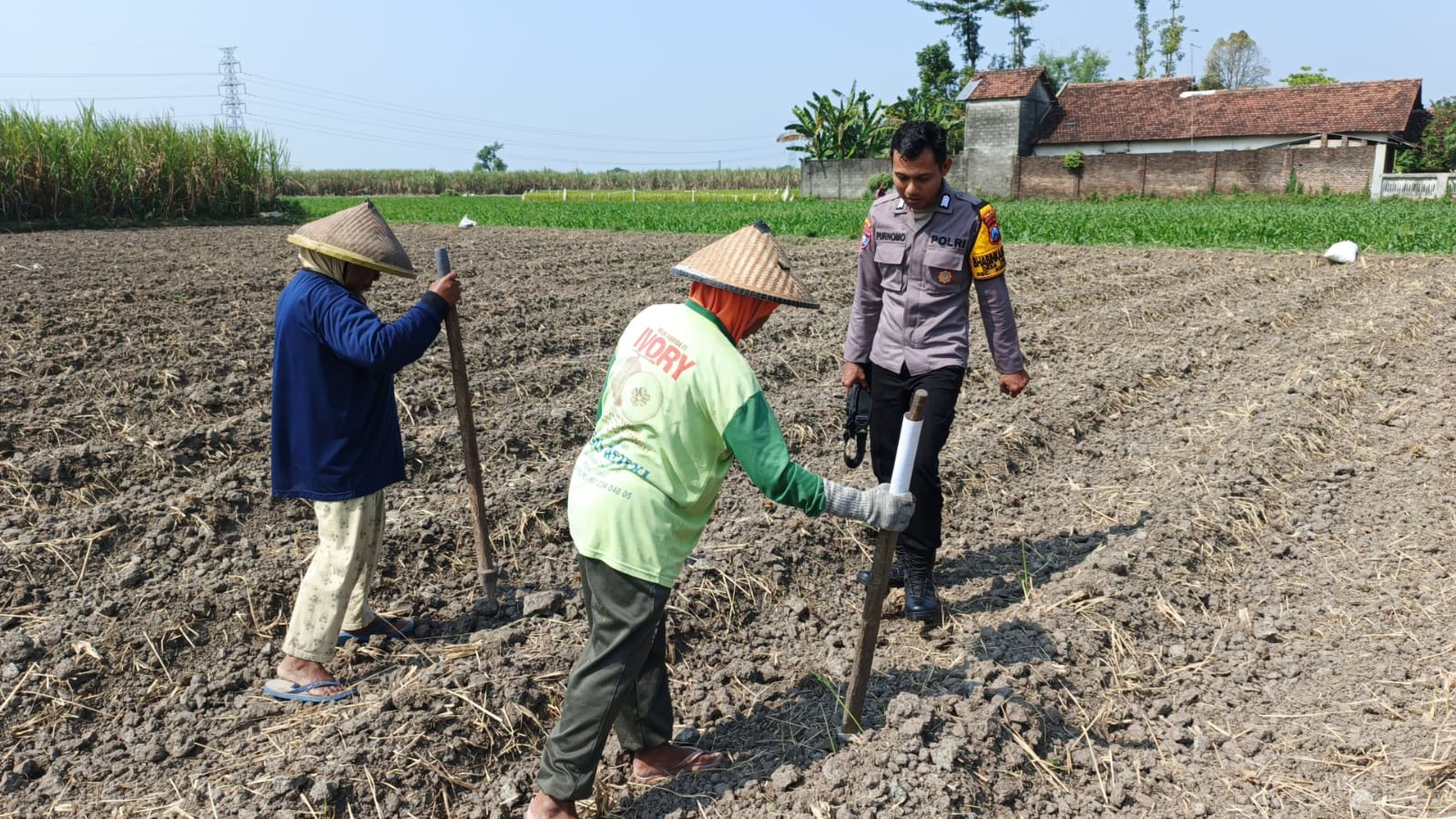 Dukung Ketahanan Pangan Nasional, Bhabinkamtibmas Desa Drenges Pantau Lahan Jagung Warga Binaan