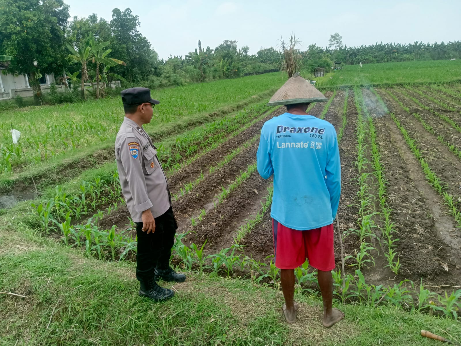 Kawal Jagung di Musim Kemarau, Bhabinkamtibmas Ngepung Cek Pupuk dan Keamanan Pompa Air