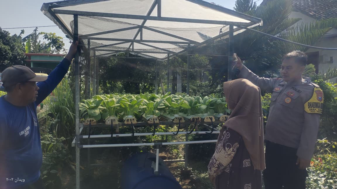 Bhabinkamtibmas Sonobekel Apresiasi Kreativitas Warga Kelola Sampah Rumah Tangga Menjadi Kebun Sayur