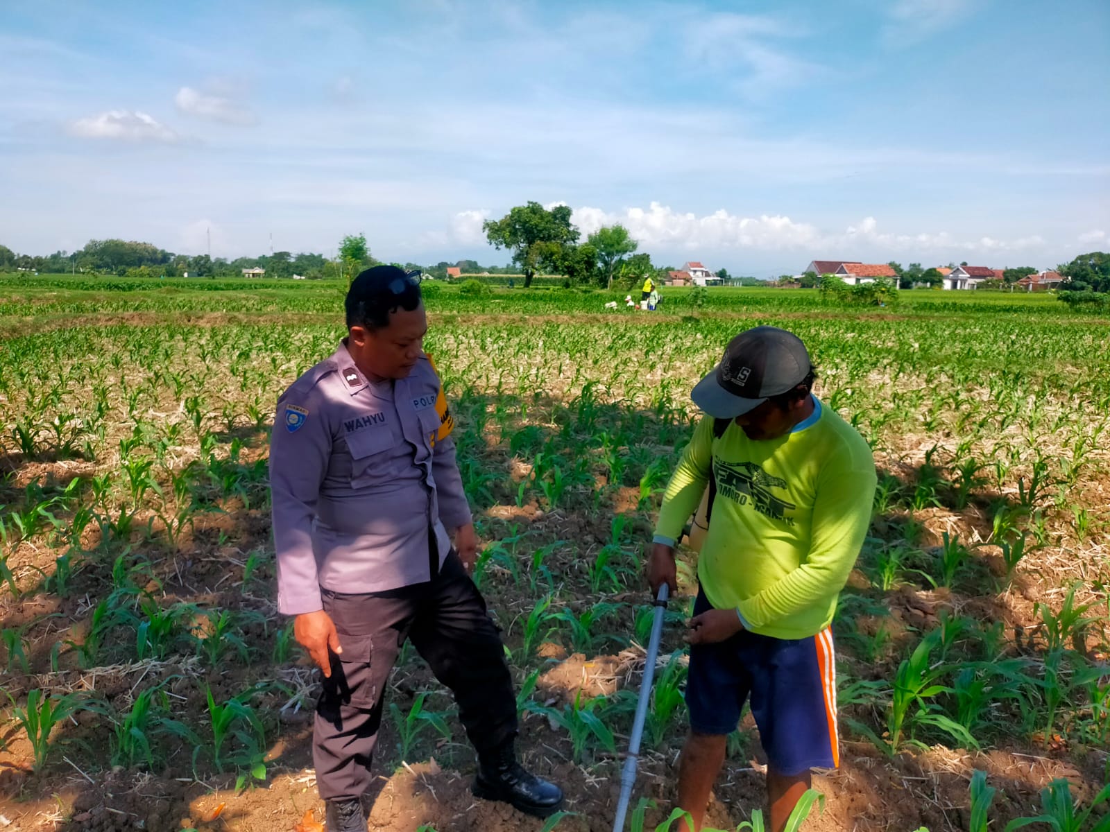Cek Ketersediaan Pupuk, Bhabinkamtibmas Garu Kawal Produktivitas Pertanian Warga