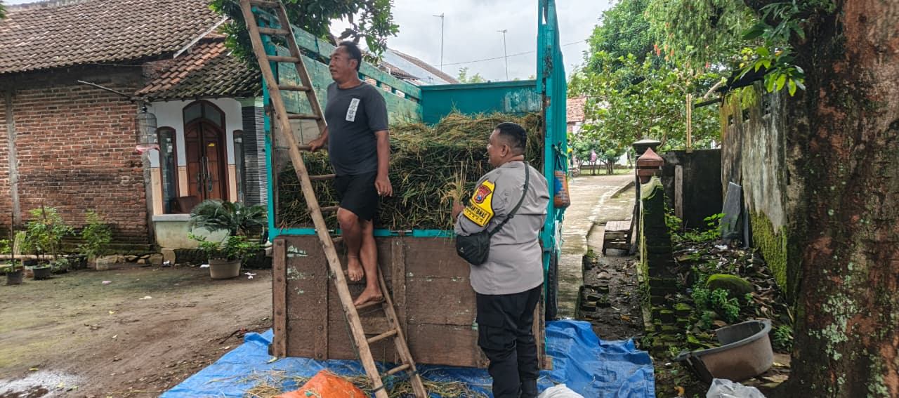 Kawal Panen Padi Warga, Bhabinkamtibmas Berbek Ingatkan Efisiensi agar Gabah Tidak Terbuang
