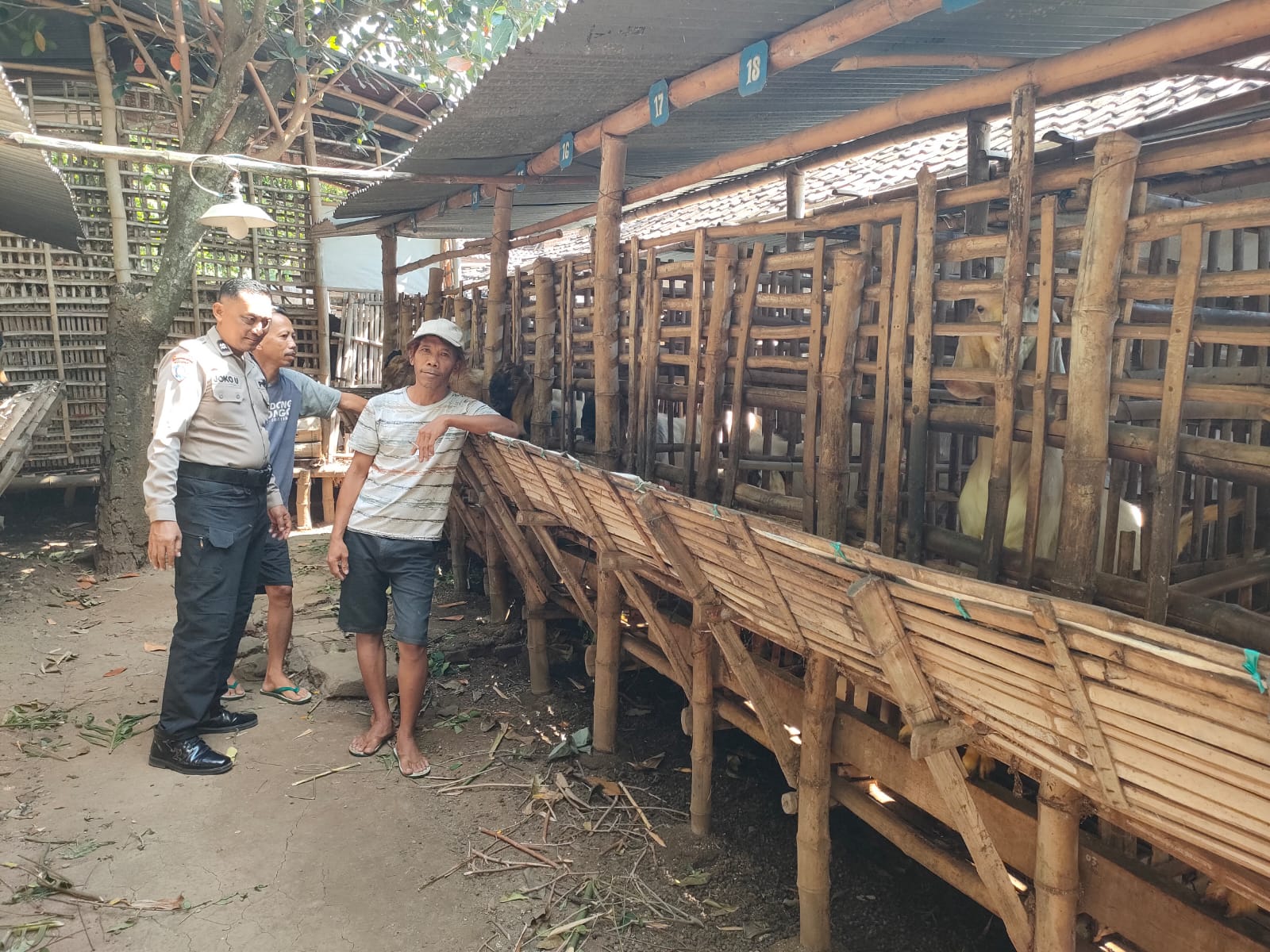 Pantau Peternakan Kambing Warga, Bhabinkamtibmas Jatirejo Dukung Ketahanan Pangan Nasional