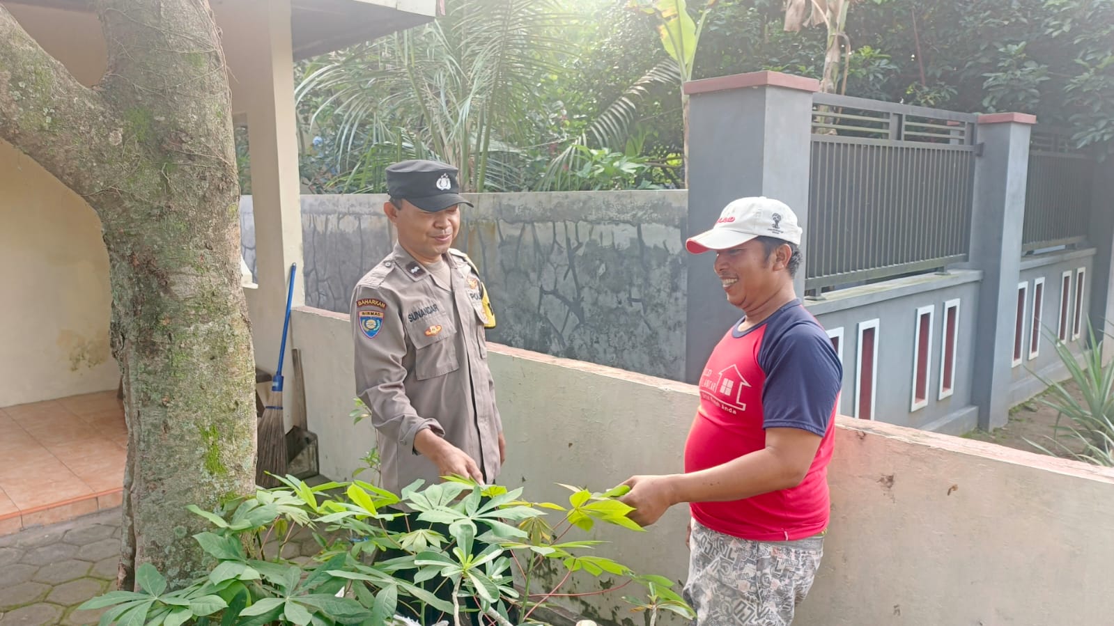 Pekarangan Jadi Sumber Pangan Keluarga, Bhabinkamtibmas Nglawak Pantau P2B Warga