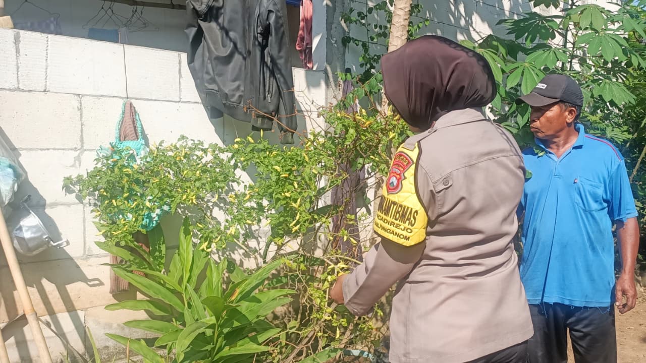 Beragam Sayuran Tumbuh Subur di P2B Warga, Bhabinkamtibmas Ngadirejo Lakukan Pendampingan