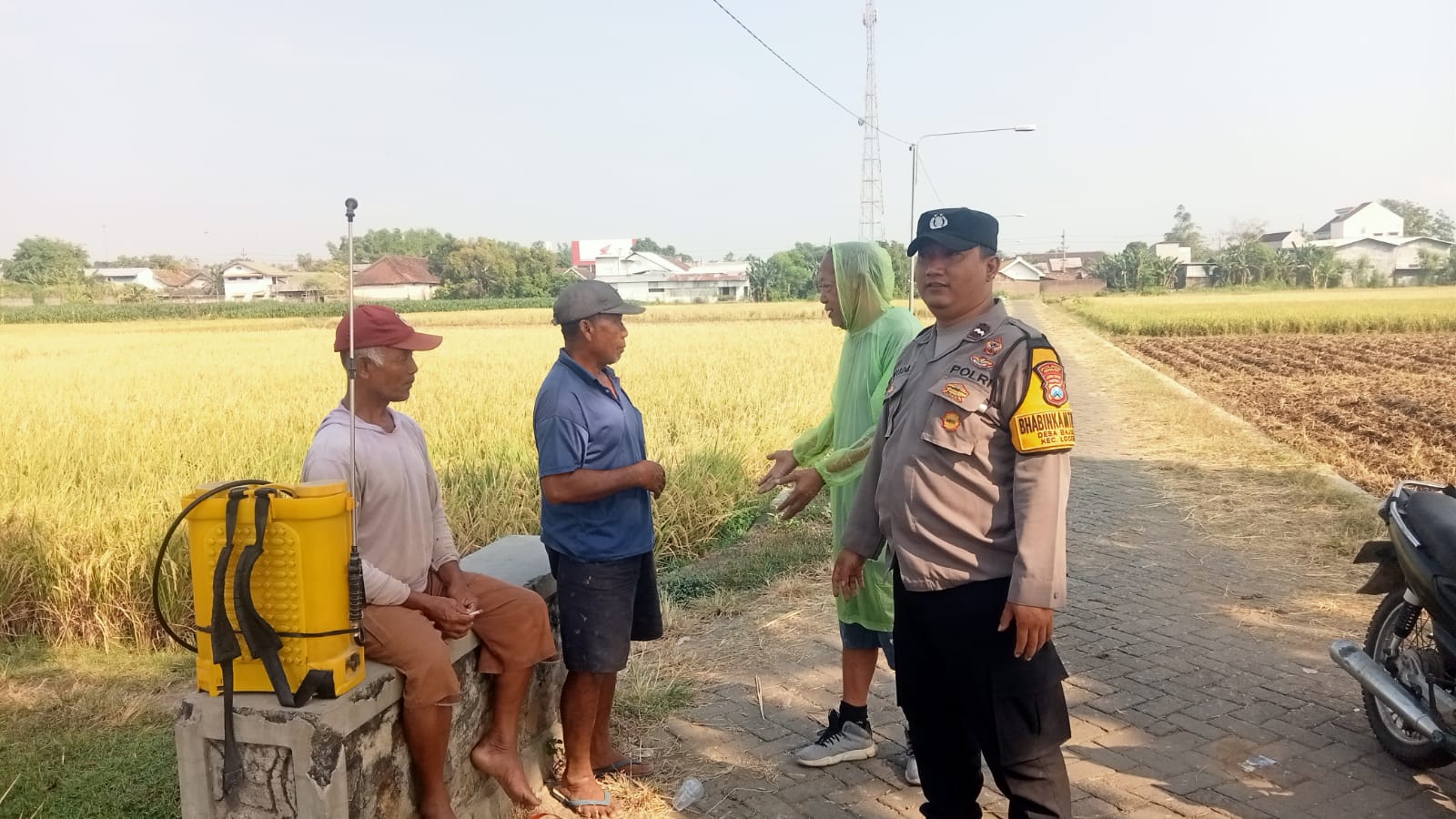 Kawal Masa Panen Padi, Bhabinkamtibmas Bajulan Dukung Ketahanan Pangan Nasional