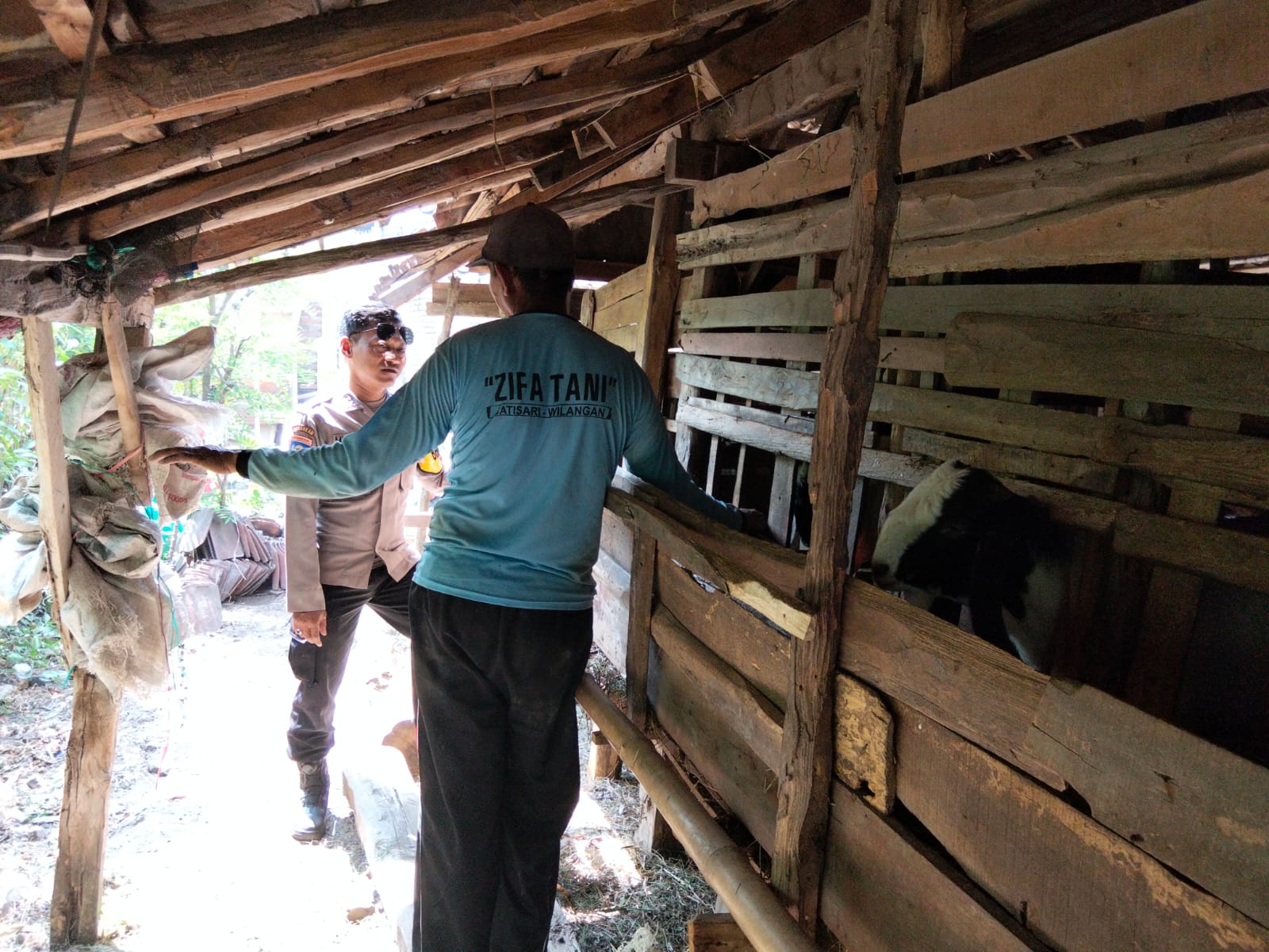 Pantau Ternak Kambing Warga, Bhabinkamtibmas Wilangan Perkuat Ketahanan Pangan Nasional