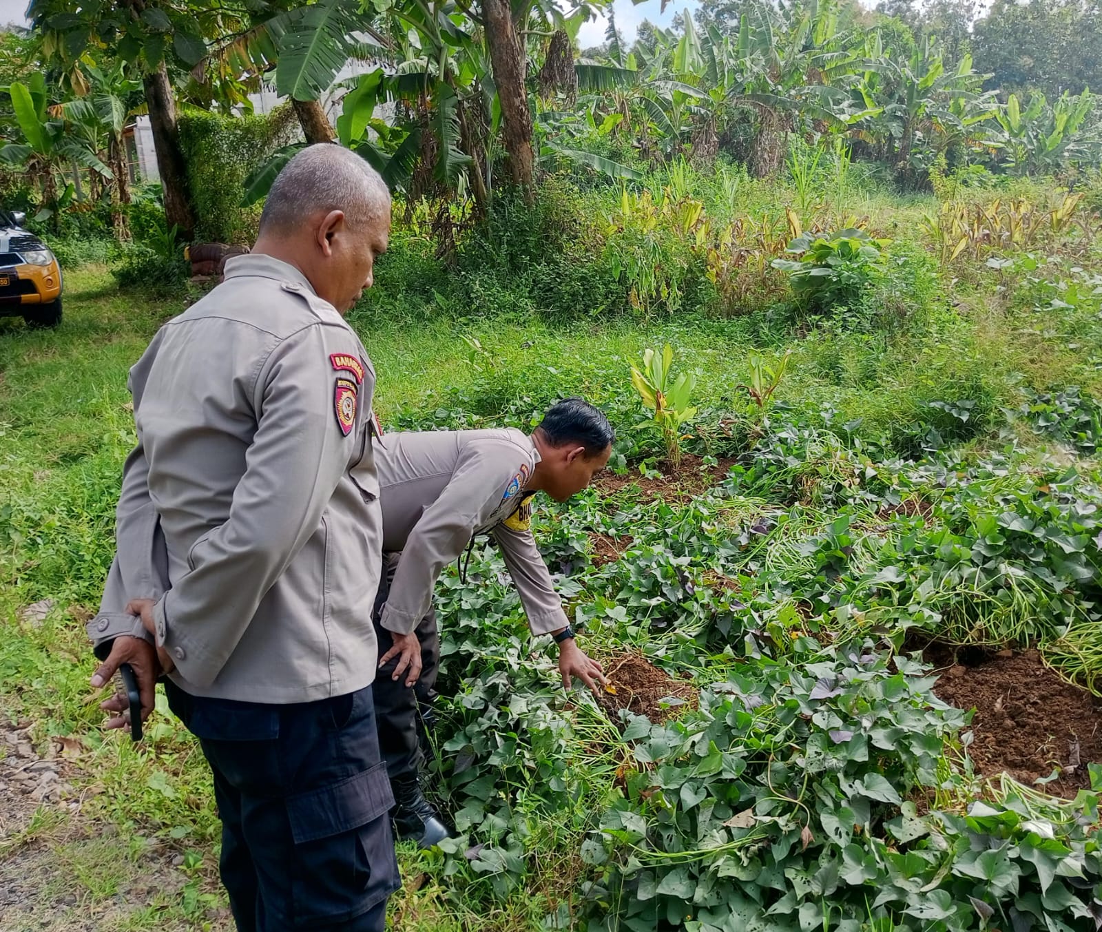 Optimalkan Pekarangan Warga, Bhabinkamtibmas Blongko Kawal Program Ketahanan Pangan