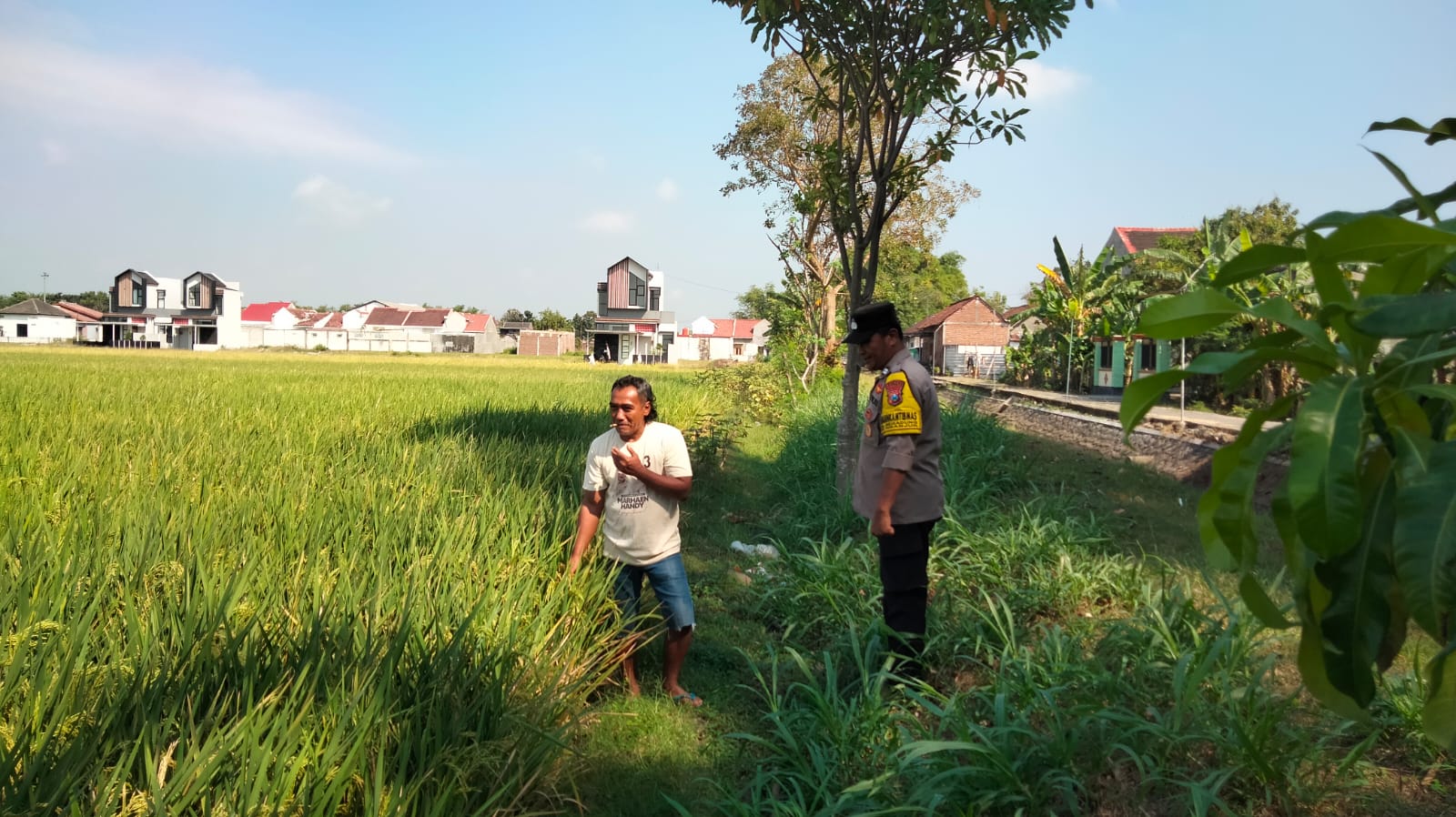 Bhabinkamtibmas Polsek Nganjuk Kota Sambangi Petani, Dukung Swasembada Pangan Nasional