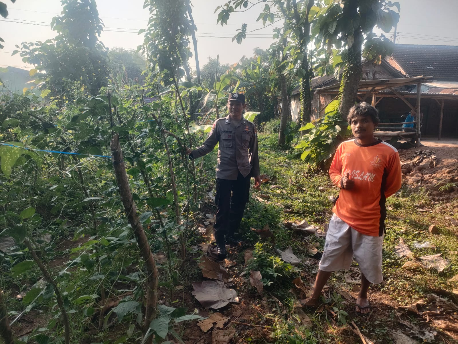 Kacang Panjang Tumbuh Subur di Pekarangan Warga, Bhabinkamtibmas Ngronggot Dukung Ketahanan Pangan