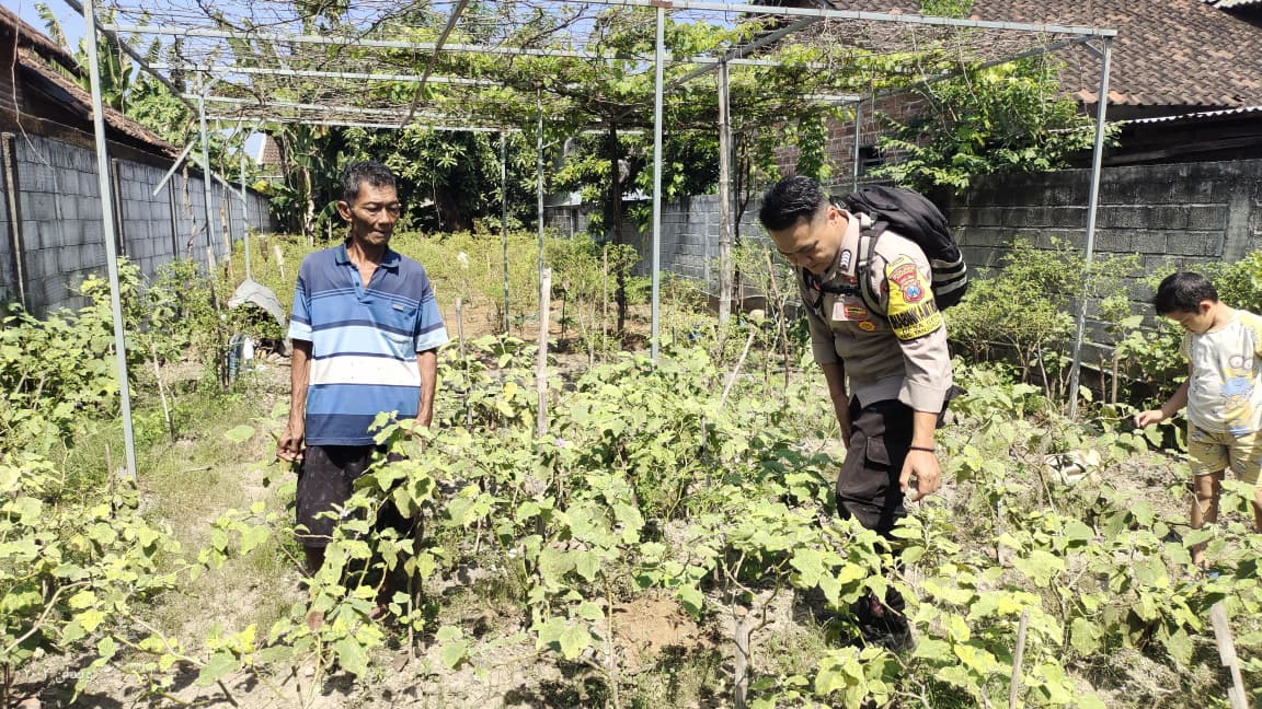 Bhabinkamtibmas Desa Getas Tinjau P2B, Dukung Ketahanan Pangan dan Peningkatan Ekonomi Warga