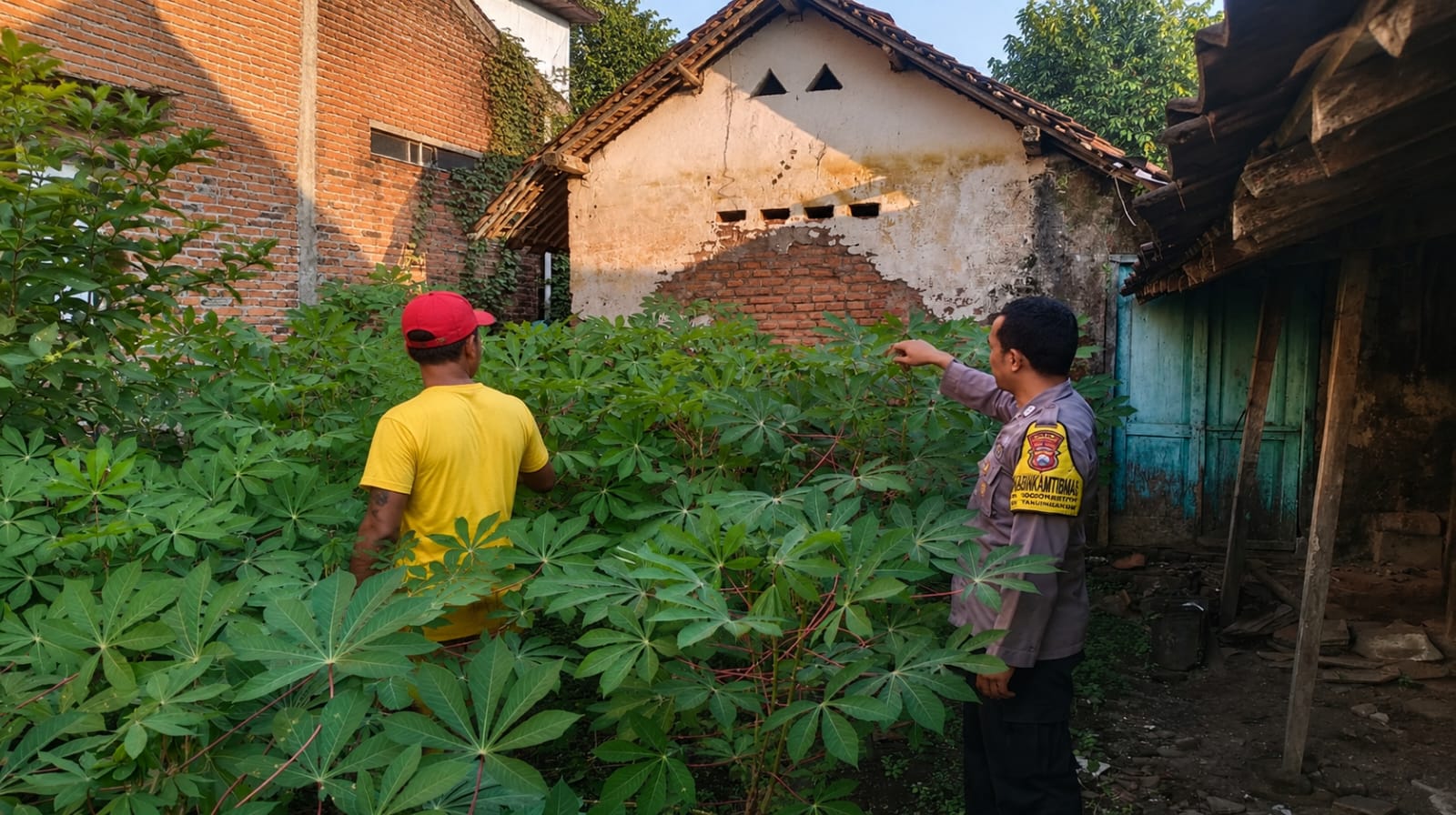 Manfaatkan Musim Kemarau, Bhabinkamtibmas Bungur Pantau Budidaya Terong di Lahan Persawahan