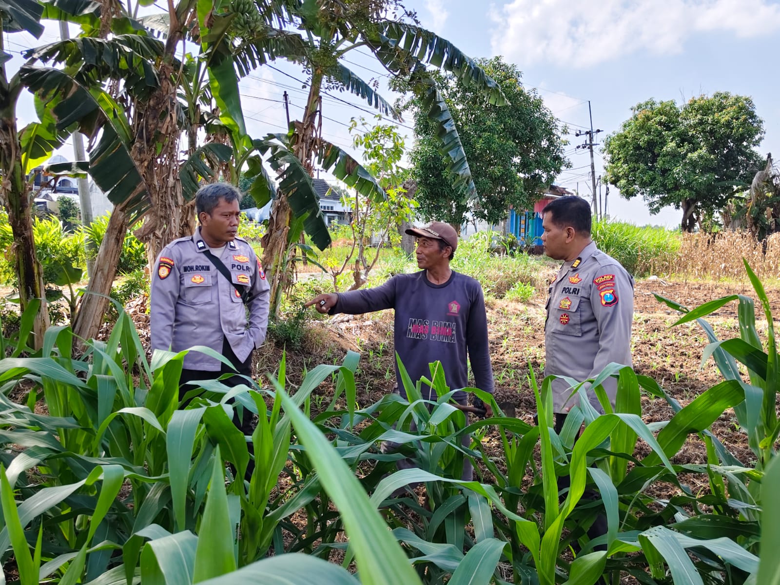 Kanit Binmas Polsek Nganjuk Kota Patroli Sambang Lahan Jagung, Apresiasi Petani Dukung Program Ketahanan Pangan