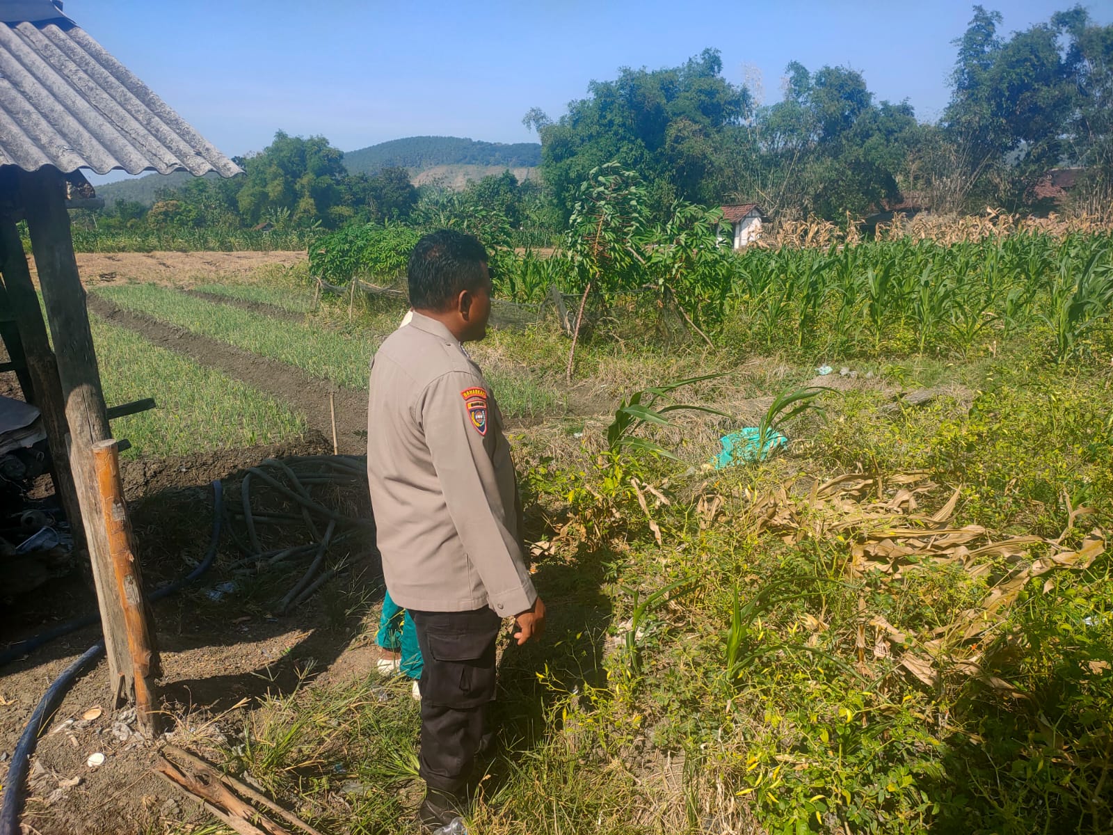 Pantau Tanaman Cabai, Bhabinkamtibmas Tempuran Ingatkan Petani Amankan Kendaraan