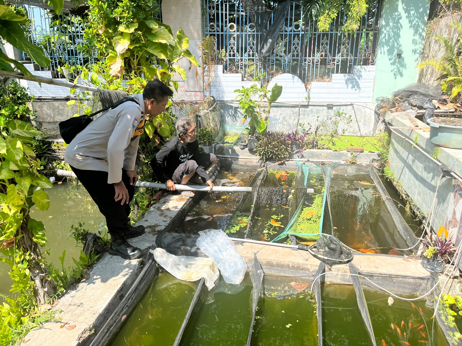 Kolam Ikan Terpal di Pekarangan, Inovasi Warga Gebangkerep Dukung Ketahanan Pangan