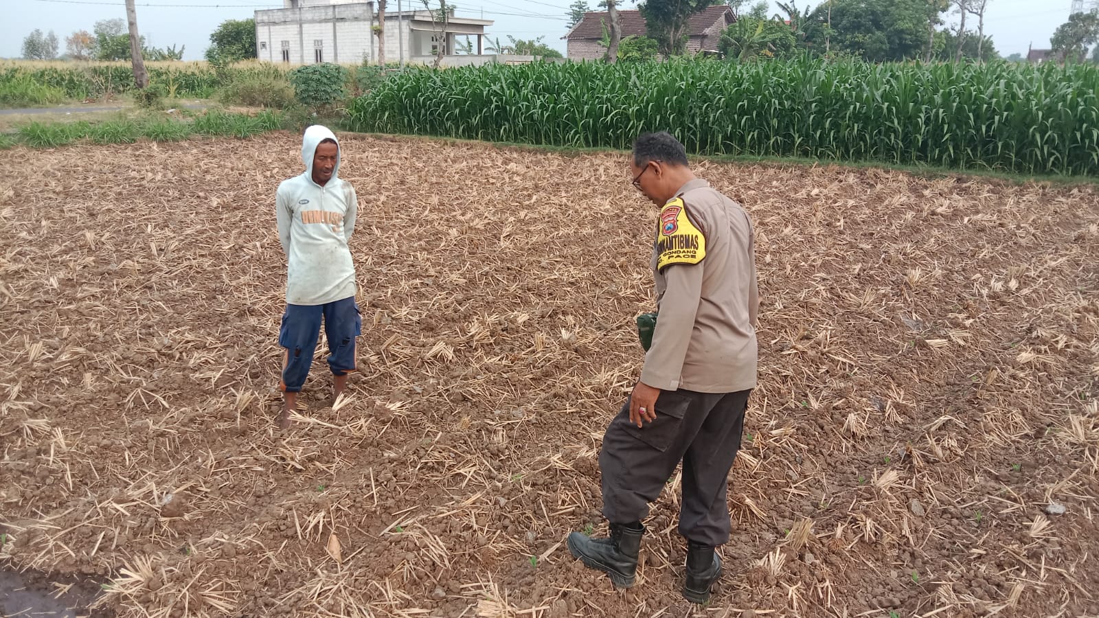 Bhabinkamtibmas Desa Gondang Pantau Jagung Baru Semai dan Ketersediaan Air