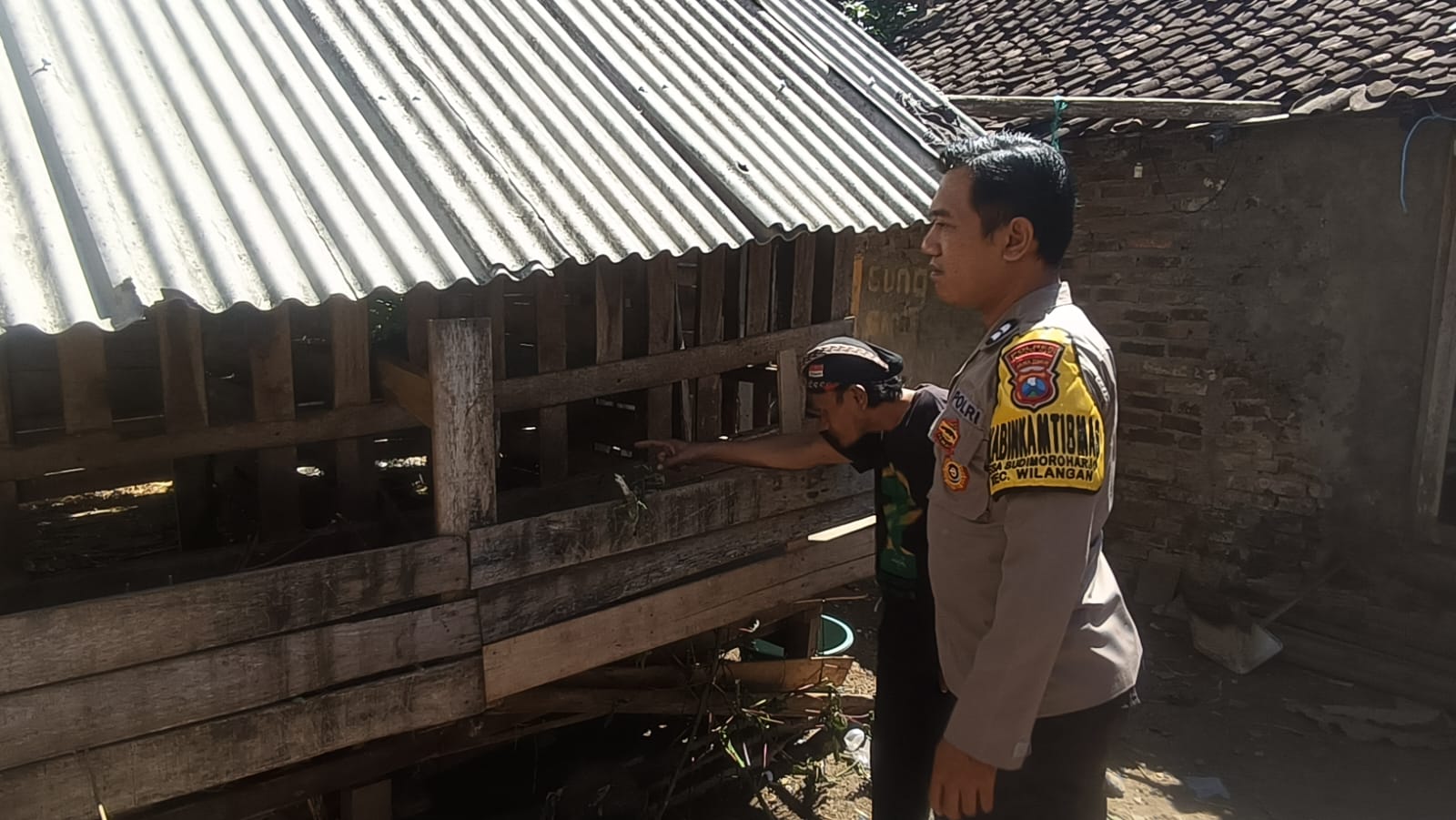 Pantau Ternak Kambing Warga, Bhabinkamtibmas Sudimoroharjo Perkuat Ketahanan Pangan