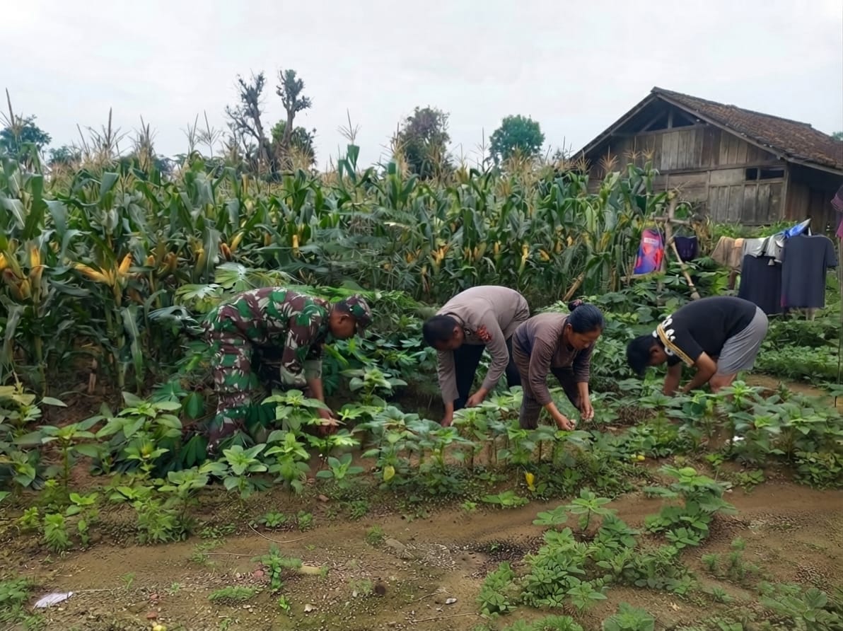 Bayam dan Kolam Terpal Jadi Andalan, Bhabinkamtibmas Selorejo Dukung Ketahanan Pangan