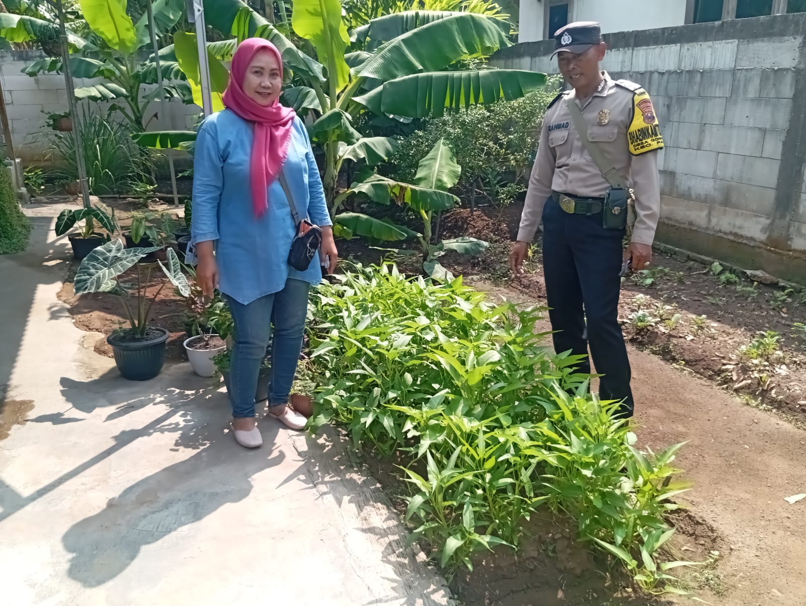 Pekarangan Kangkung Produktif, Bhabinkamtibmas Desa Gondang Dukung Ketahanan Pangan
