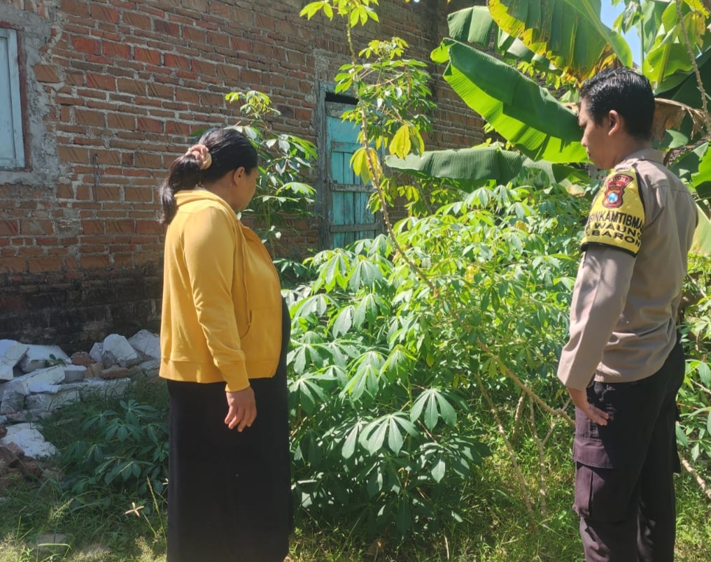 Singkong Jadi Andalan Pekarangan, Bhabinkamtibmas Desa Waung Dukung Ketahanan Pangan