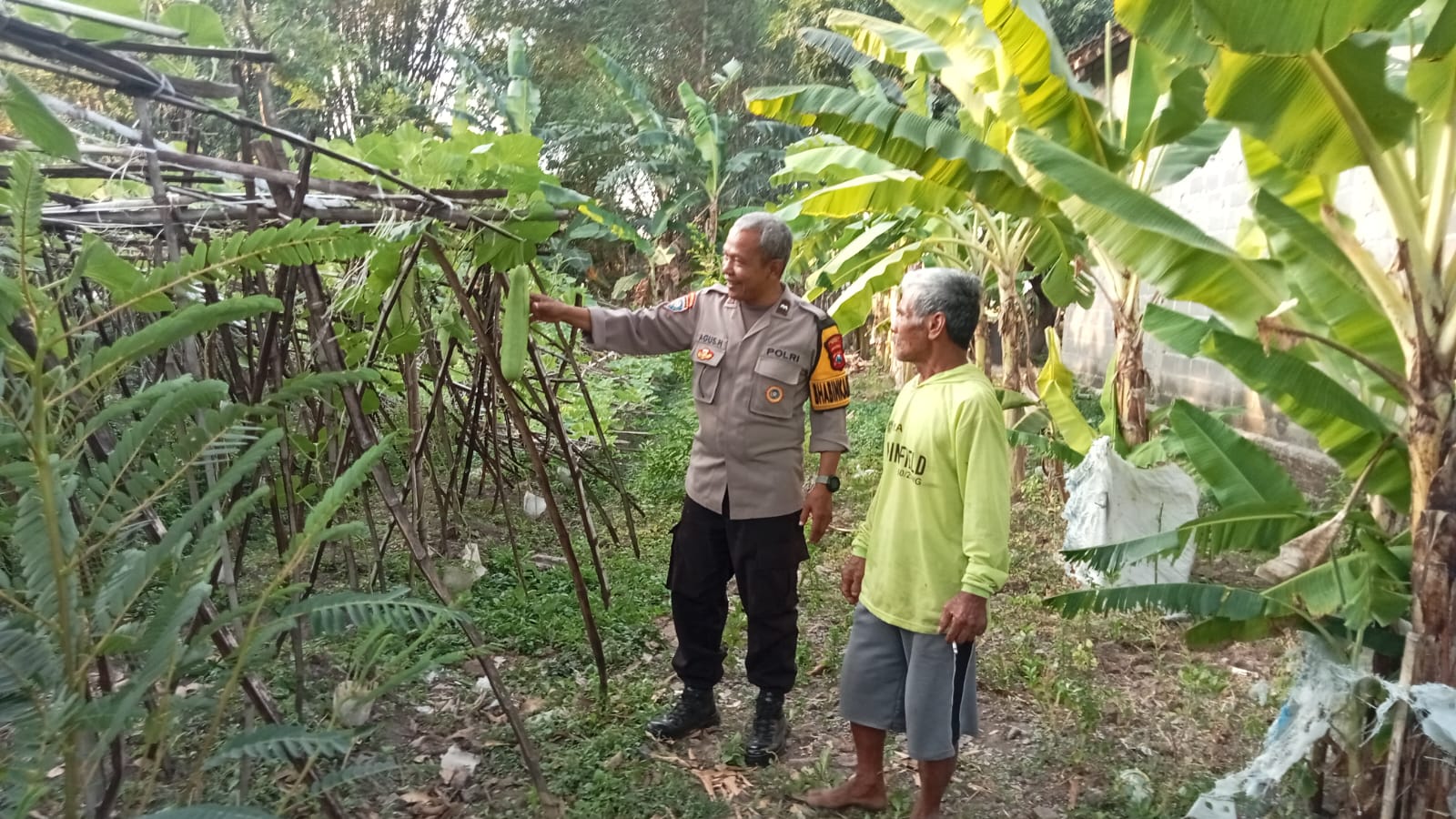 Manfaatkan Lahan Sela, Bhabinkamtibmas Desa Sonopatik Dukung Budidaya Labu Air