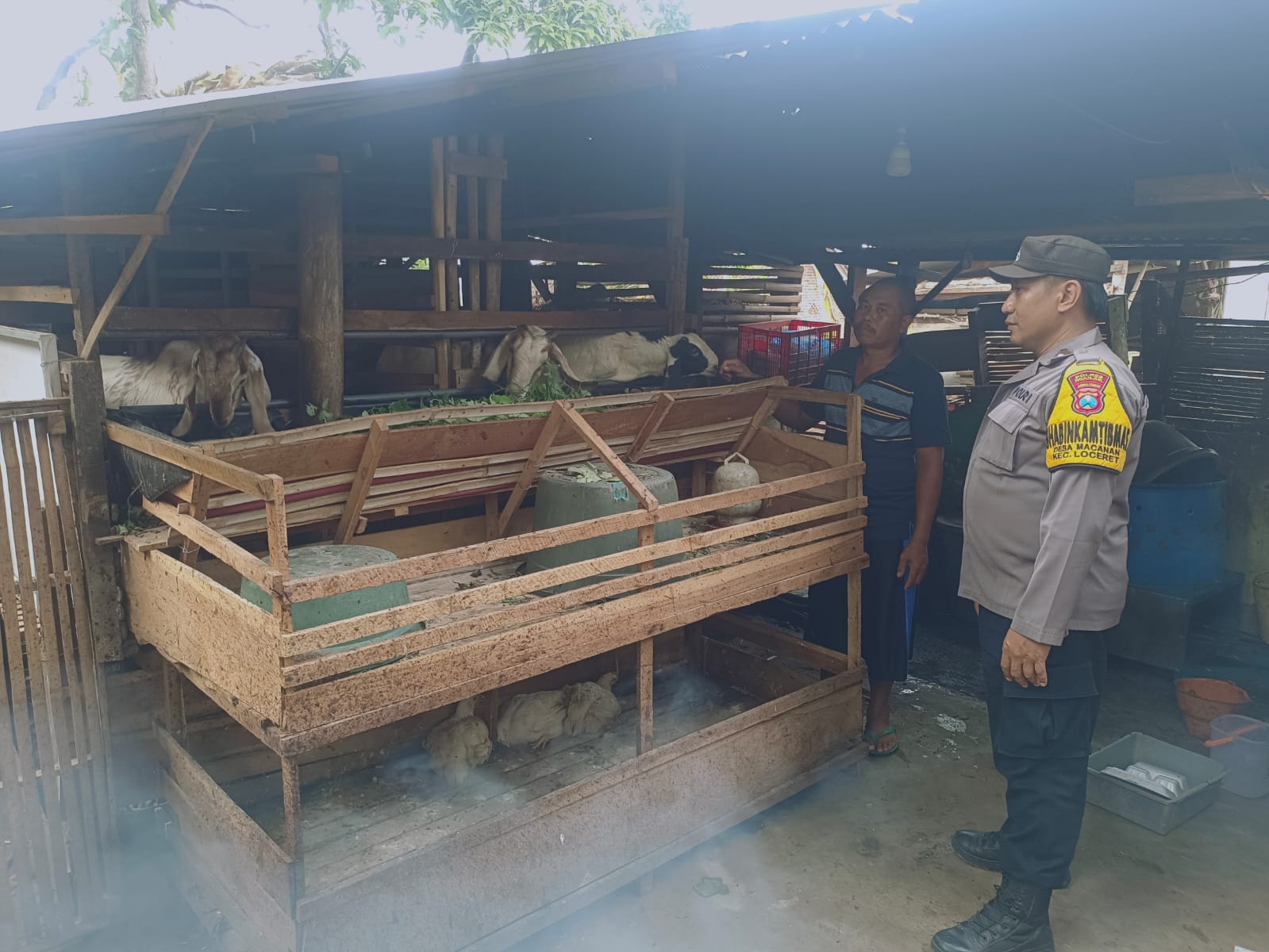 Pantau Peternakan Sapi dan Kambing, Bhabinkamtibmas Desa Macanan Perkuat Ketahanan Pangan