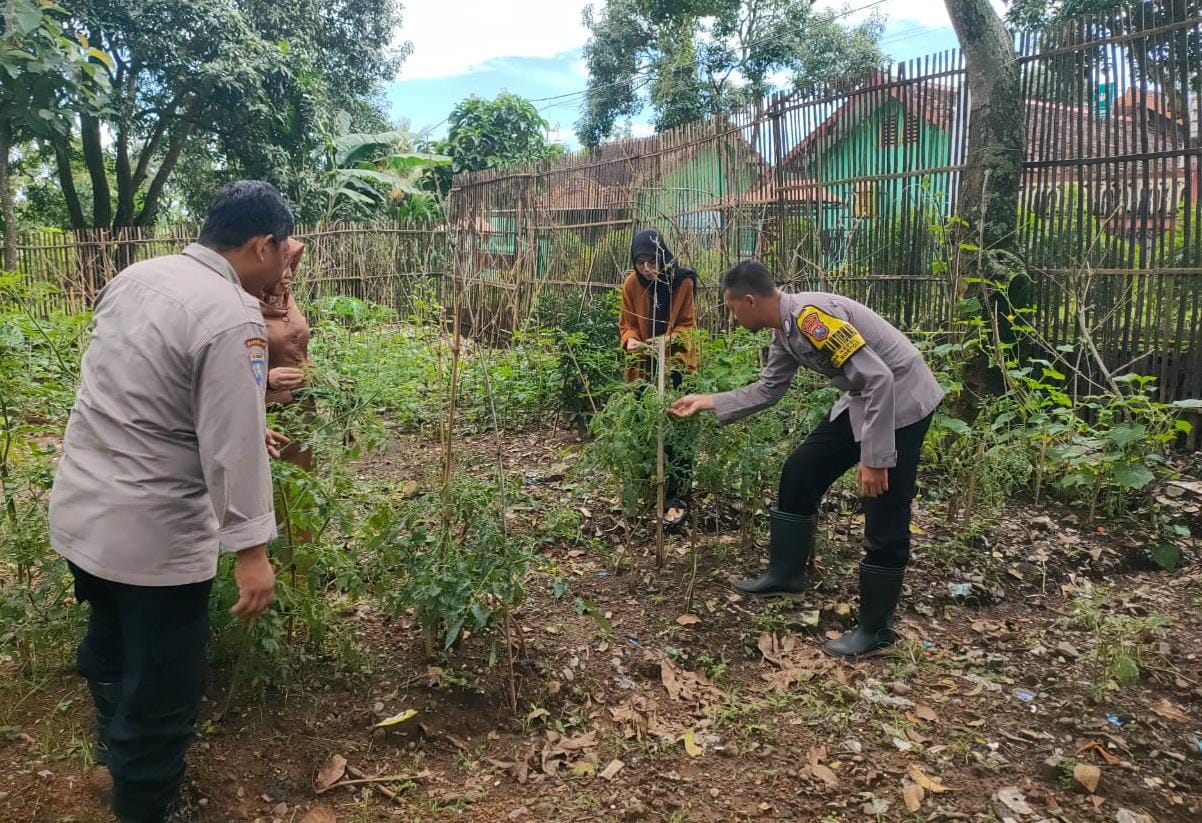Kanit Binmas Polsek Ngetos Pantau Pekarangan Pangan Bergizi Berisi Cabai, Tomat, dan Bumbu Dapur