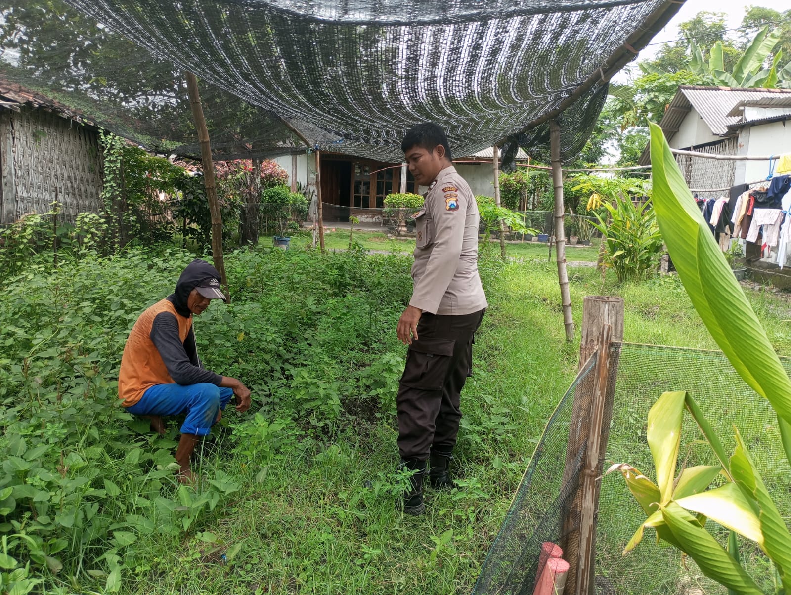 Bhabinkamtibmas Desa Ngasem Pantau Pembibitan Cabai untuk Dukung Ketahanan Pangan