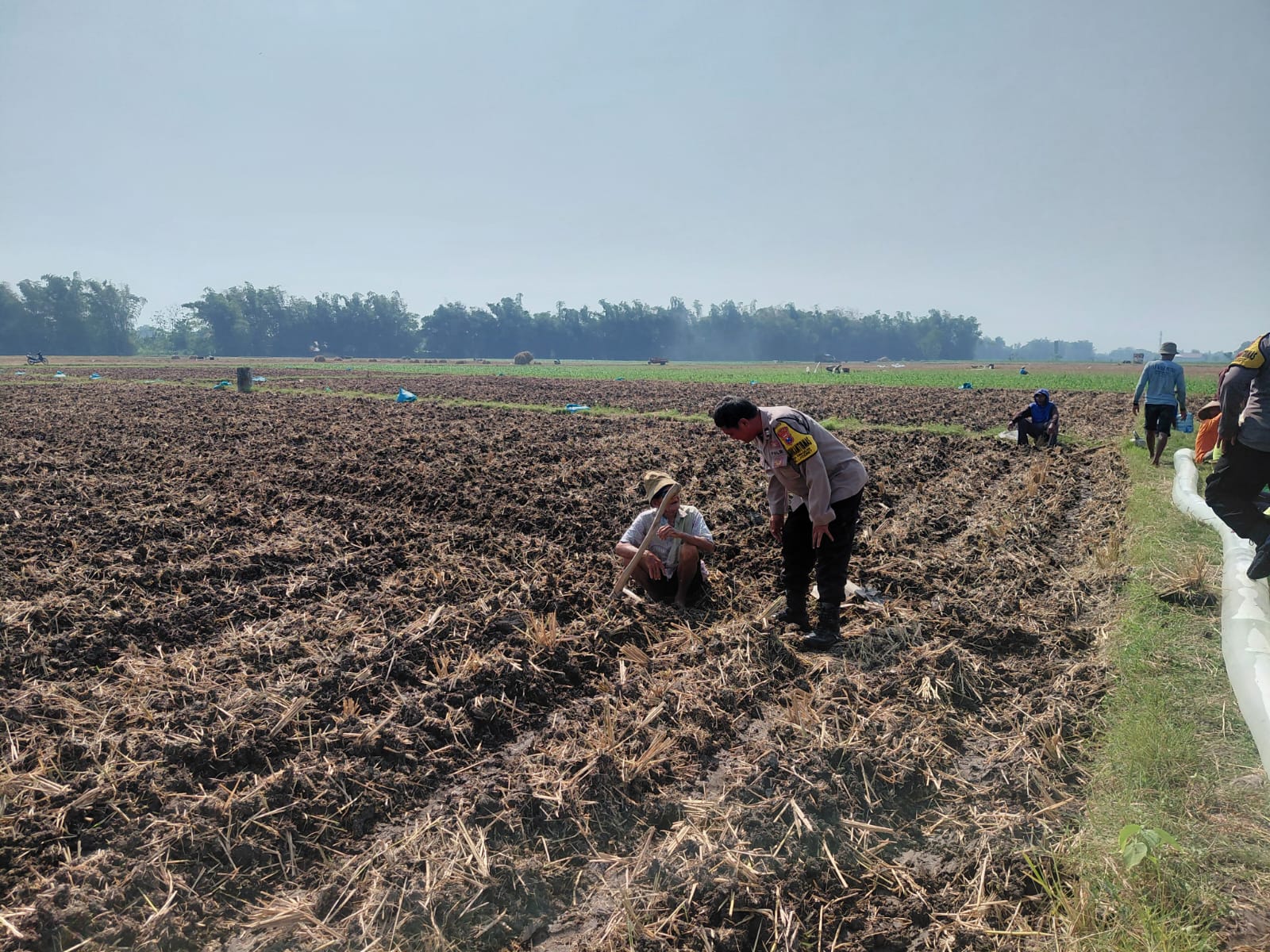 Pantau Lahan Jagung dan Ketersediaan Air, Bhabinkamtibmas Desa Kwagean Dukung Ketahanan Pangan