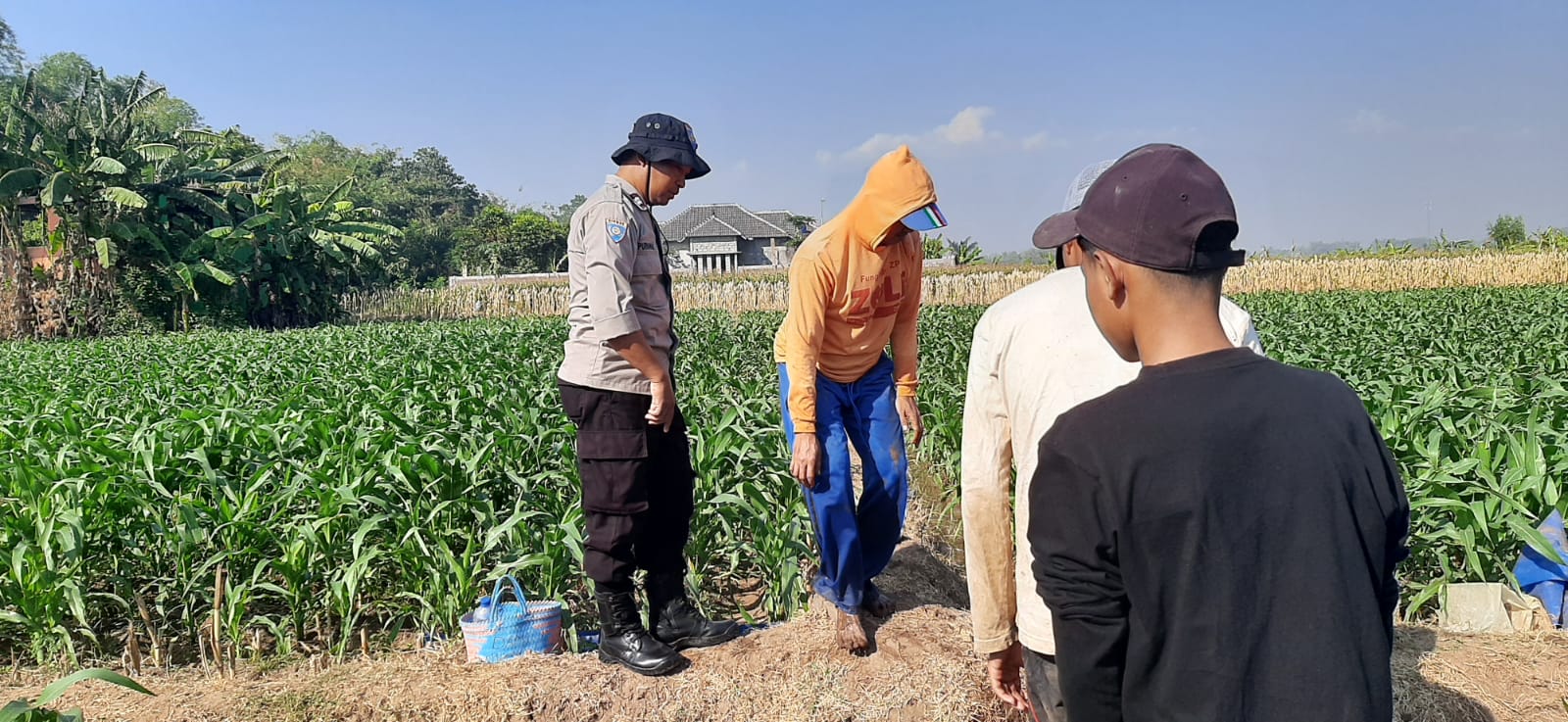 Bhabinkamtibmas Kelurahan Ploso Pantau Lahan Jagung dan Cek Irigasi Dukung Ketahanan Pangan