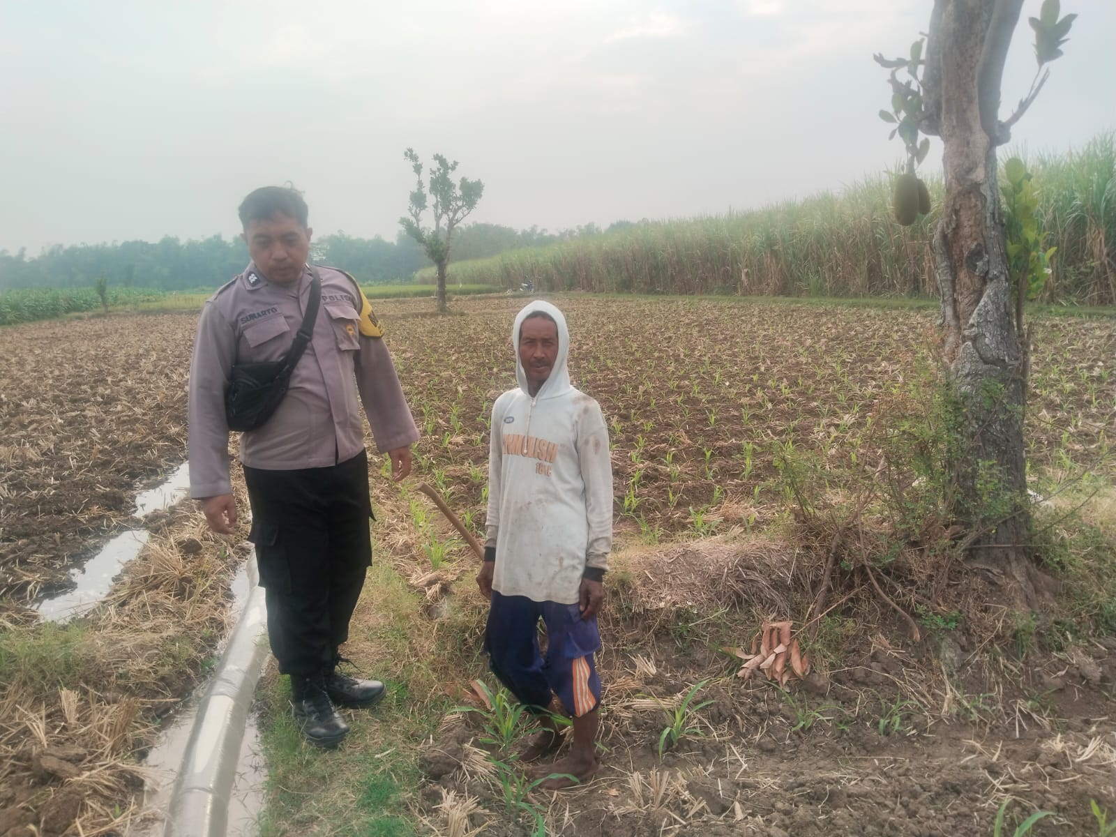 Bhabinkamtibmas Desa Banaran Pantau Lahan Jagung dan Ketersediaan Air di Musim Kemarau