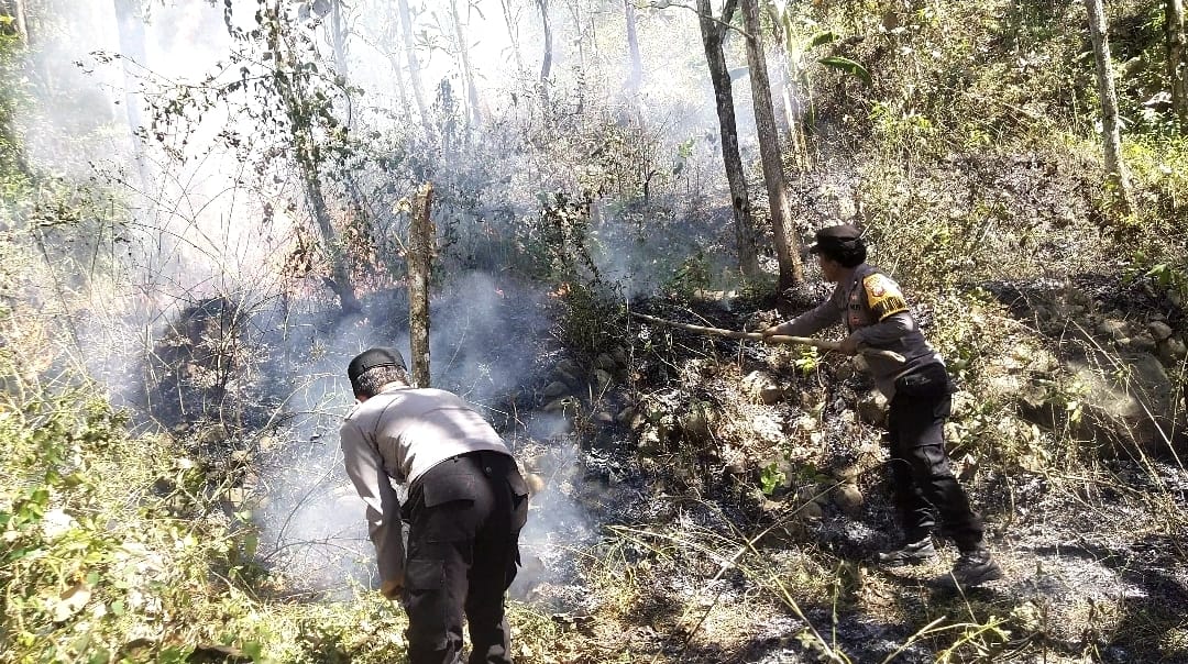 Respon Cepat Call Center 110 Polres Ngawi, Kebakaran Lahan di Bukit Gogor Sine Berhasil Dipadamkan