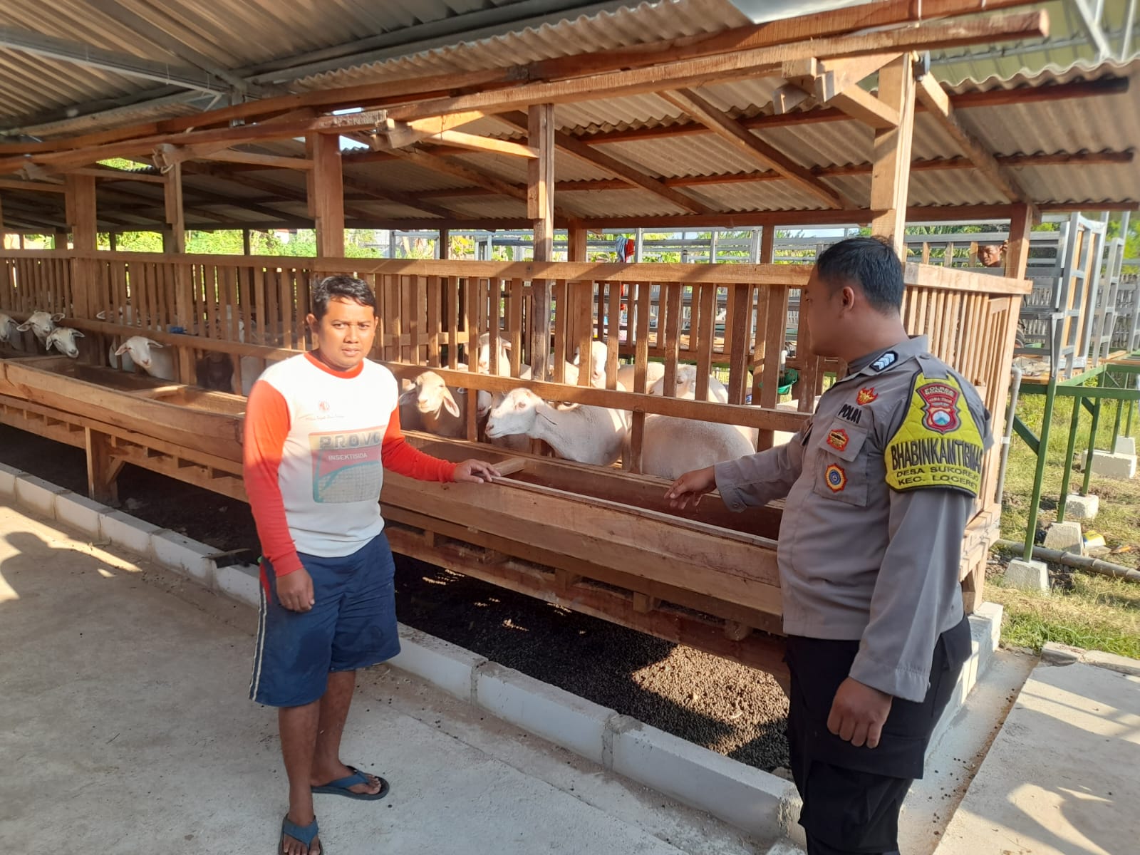 Bhabinkamtibmas Desa Sukorejo Pantau Kesehatan Ternak Kambing Dukung Ketahanan Pangan