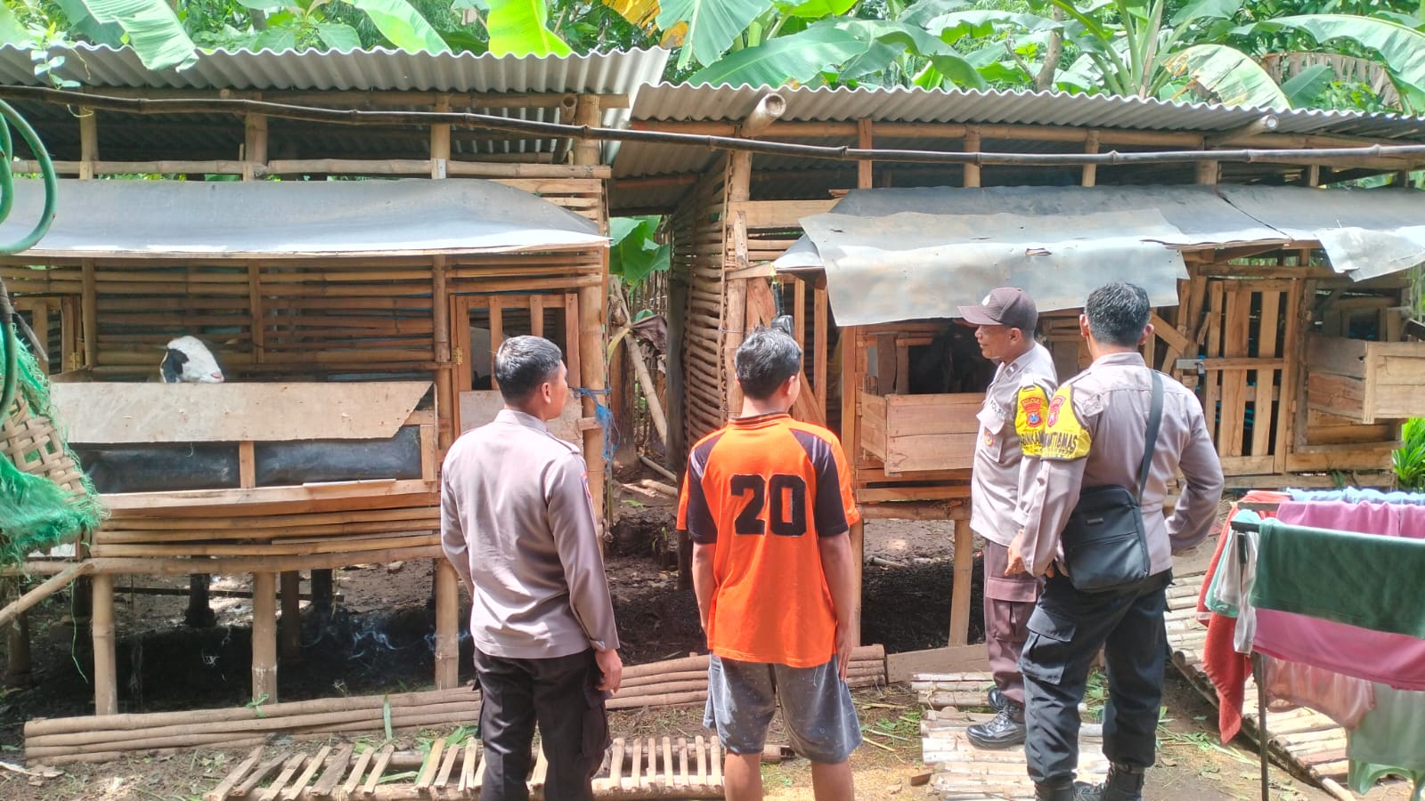 Pantau Peternakan Domba, Bhabinkamtibmas Desa Patranrejo Dorong Pengelolaan Limbah Ramah Lingkungan