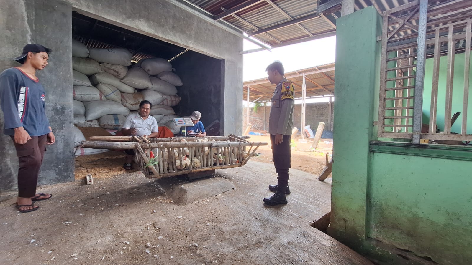 Harga Ayam Stabil, Peternak Tetap Waspada,” Ujar Bhabinkamtibmas Polsek Kertosono