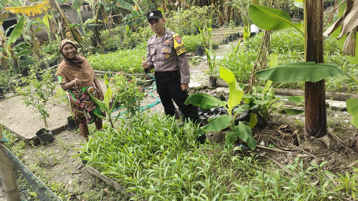 Dari Belasan Polybag Jadi Ratusan, Bhabinkamtibmas Jatipunggur Apresiasi Semangat Warga Kelola Pekarangan Pangan Bergizi