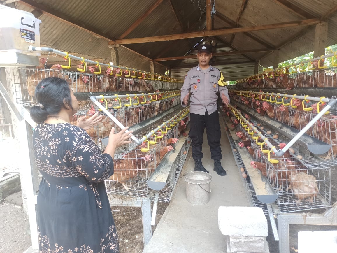 Pantau Kandang Ayam, Bhabinkamtibmas Tirtobinangun Ajak Warga Sukseskan Ketahanan Pangan Nasional
