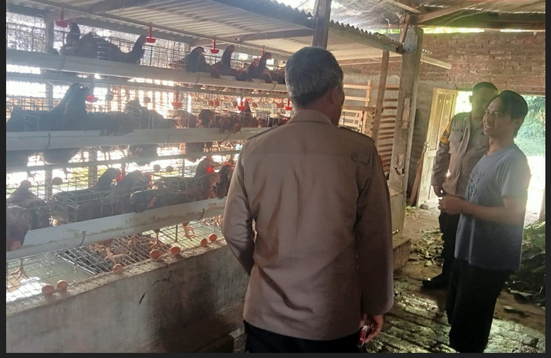 Belajar Sambil Mendukung Ketahanan Pangan, Aiptu Sugeng Sambangi Peternak Ayam Petelur di Loceret