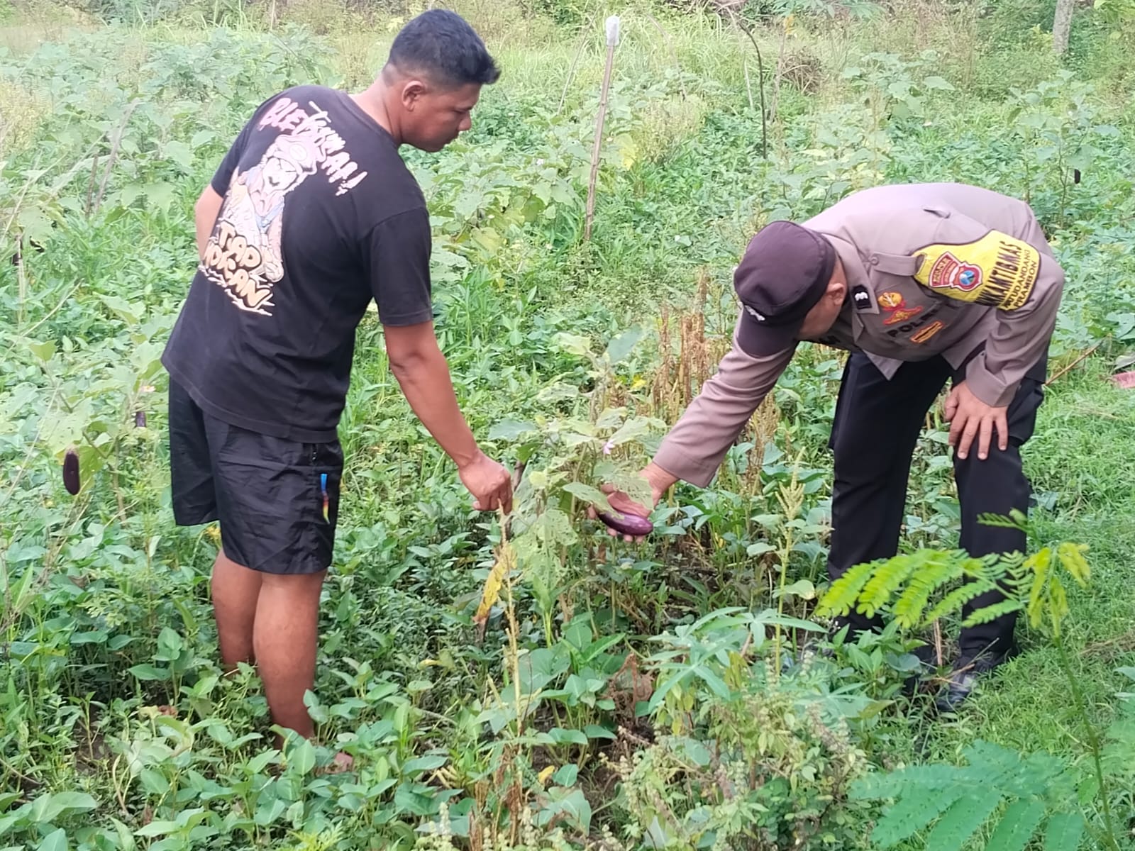 Bhabinkamtibmas Desa Watudandang Pantau Pekarangan Pangan Bergizi dari Kolam Ikan hingga Terong