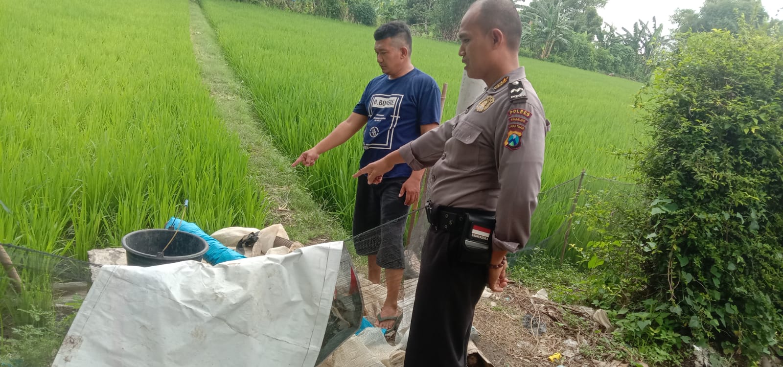 Bhabinkamtibmas Desa Kelutan Pantau Irigasi dan Ketersediaan Air untuk Tanaman Padi