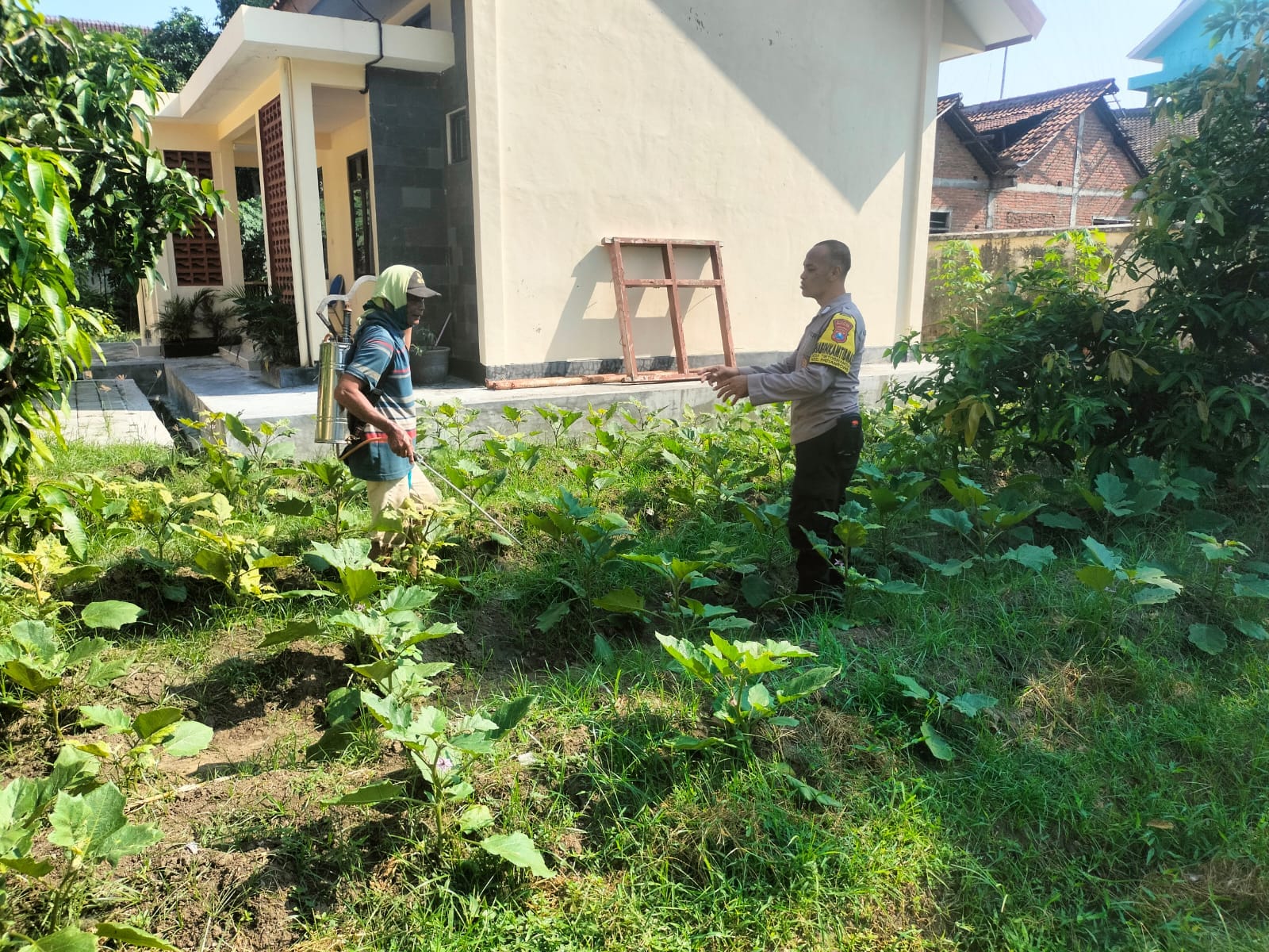 Bhabinkamtibmas Patianrowo Pantau Pekarangan Pangan Bergizi Berisi Sayur Mayur dan Terong