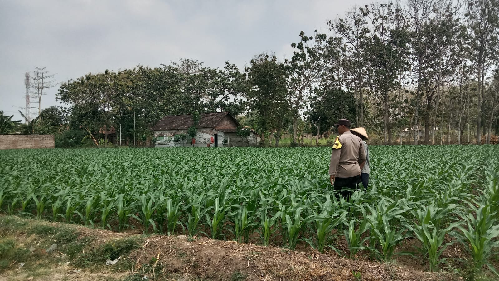 Bhabinkamtibmas Desa Tegaron Pantau Irigasi dan Ingatkan Petani Amankan Kendaraan