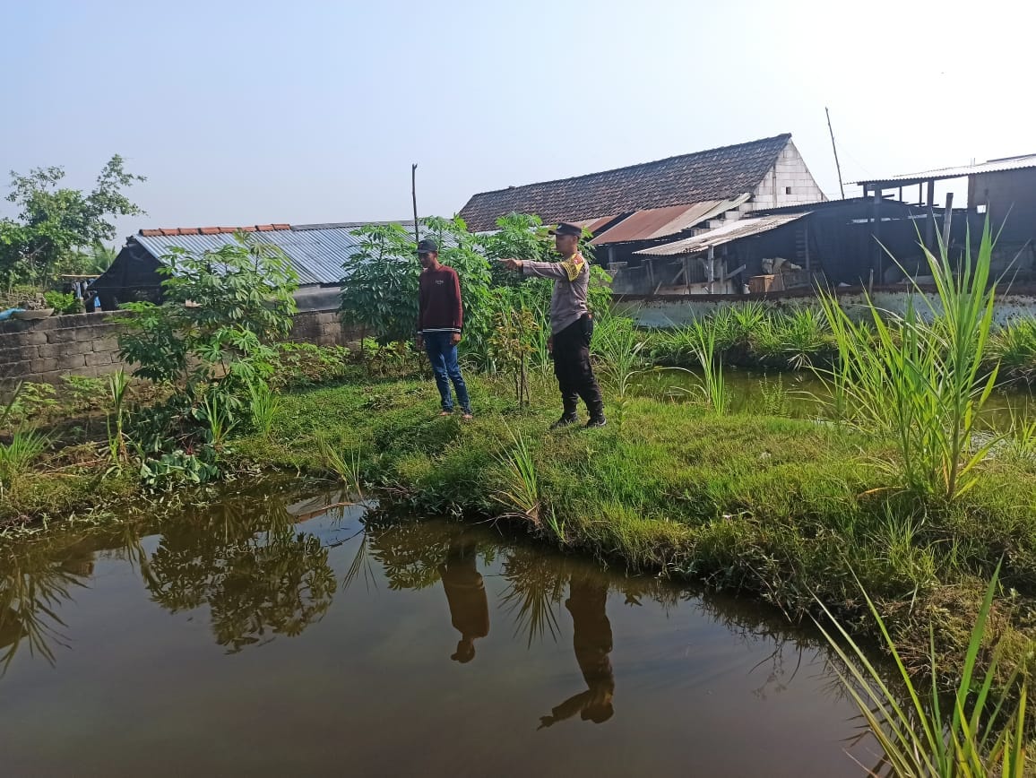 Bhabinkamtibmas Desa Tirtobinangun Pantau Budidaya Ikan Nila Dukung Ketahanan Pangan