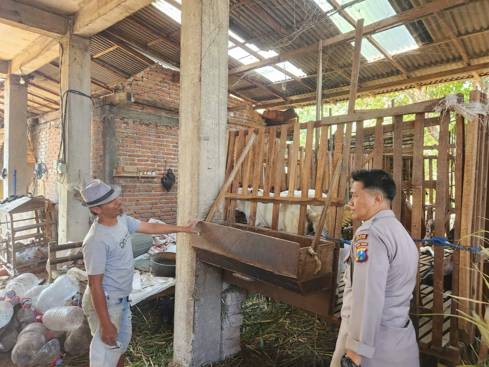 Sapi Sehat, Kambing Terawat, Ketahanan Pangan Makin Kuat