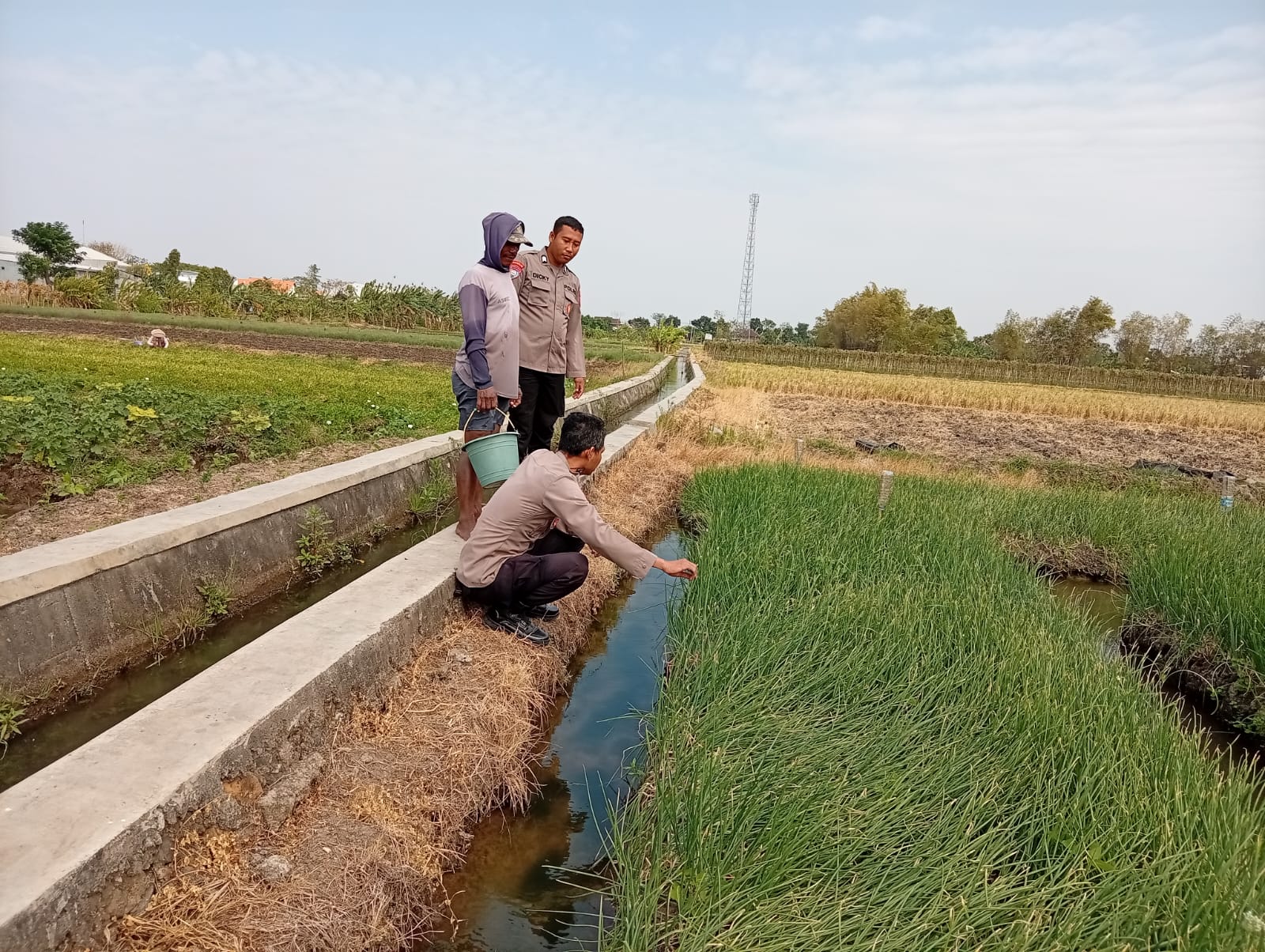 Air Lancar, Bawang Merah Aman, Petani Pun Tenang