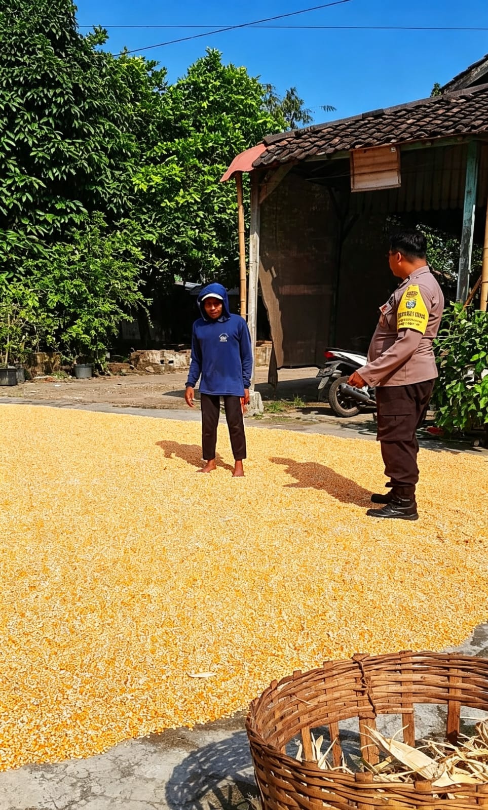 Jagung Sudah Dipipil, Tinggal Jemur: Bhabinkamtibmas Lengkong Lor Pantau Panen Warga