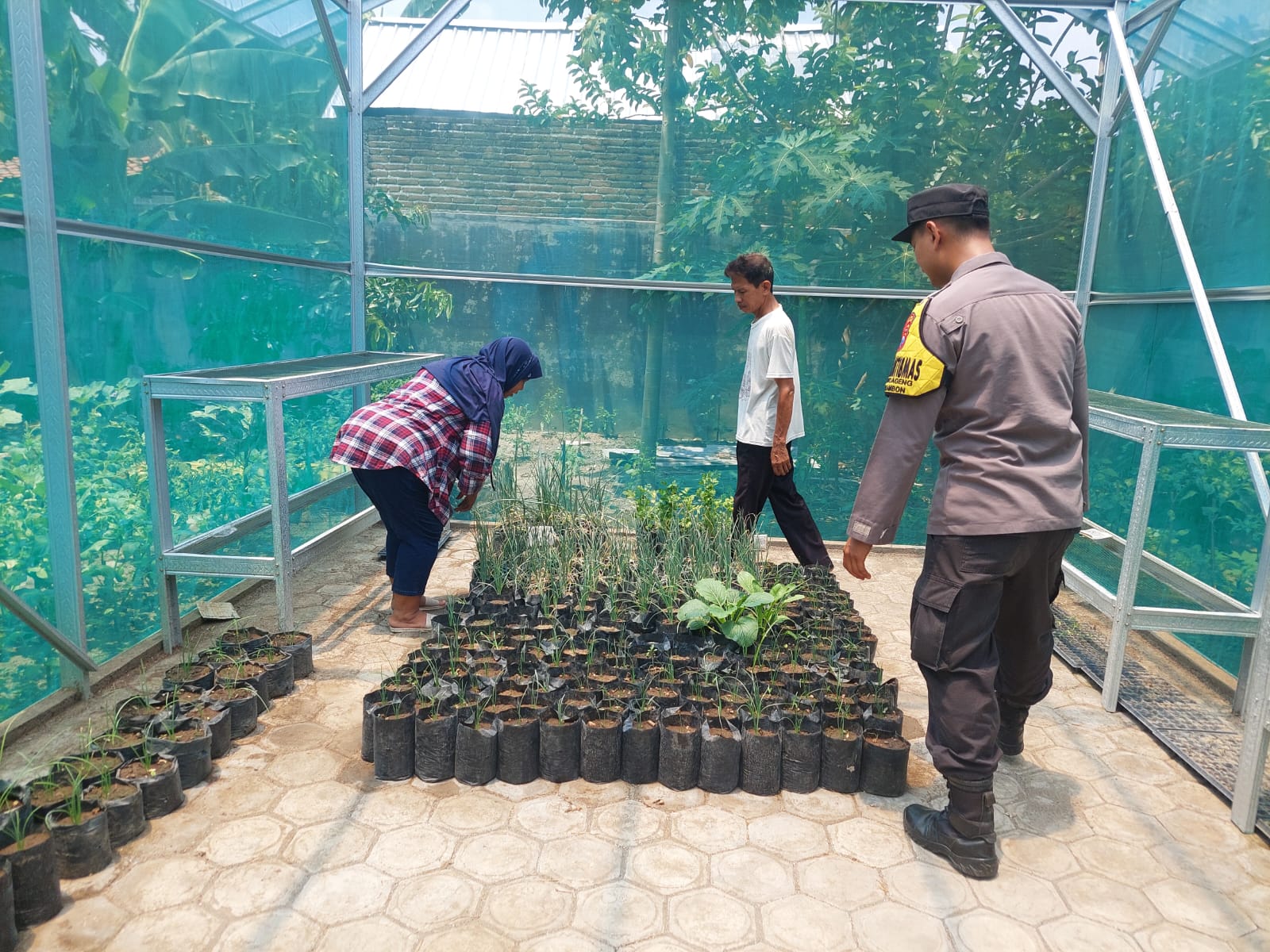 Bhabinkamtibmas Desa Sonoageng Pantau Pekarangan Pangan Lestari Demplot Dukung Ketahanan Pangan