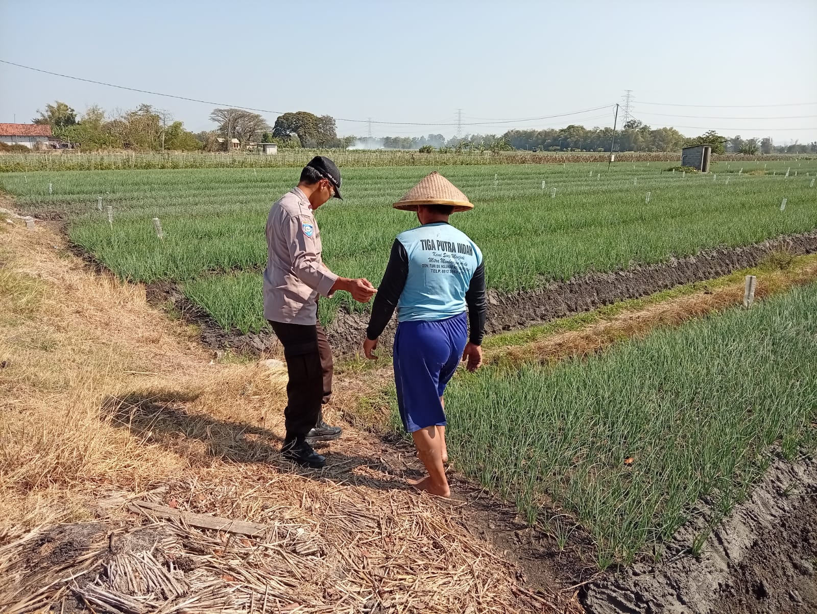 Bhabinkamtibmas Kelurahan Kapas Pantau P2B Warga Dukung Ketahanan Pangan di Tengah Tantangan Musim Kemarau