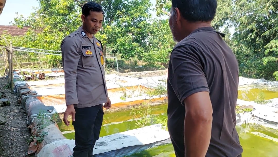 Bhabinkamtibmas Desa Perning Dorong Pengembangan Budidaya Lele sebagai Dukungan Ketahanan Pangan
