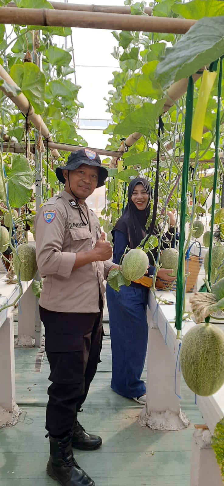 Bhabinkamtibmas Ploso Sambangi Wisata Petik Melon, Dukung Ketahanan Pangan dan Potensi Wisata Lokal