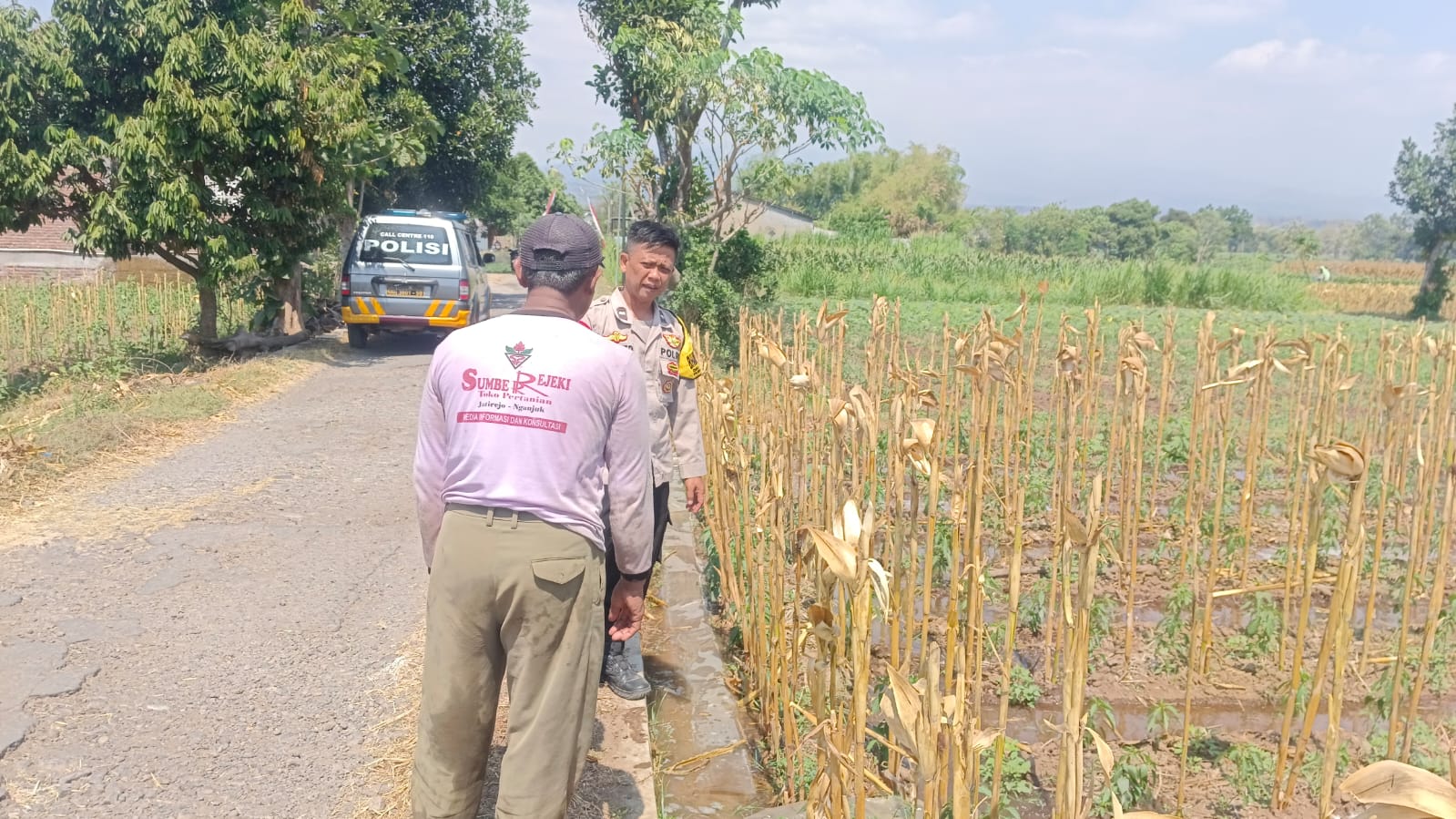 Bekas Panen Jagung, Lahan Langsung Disulap Jadi Kebun Cabai Rawit